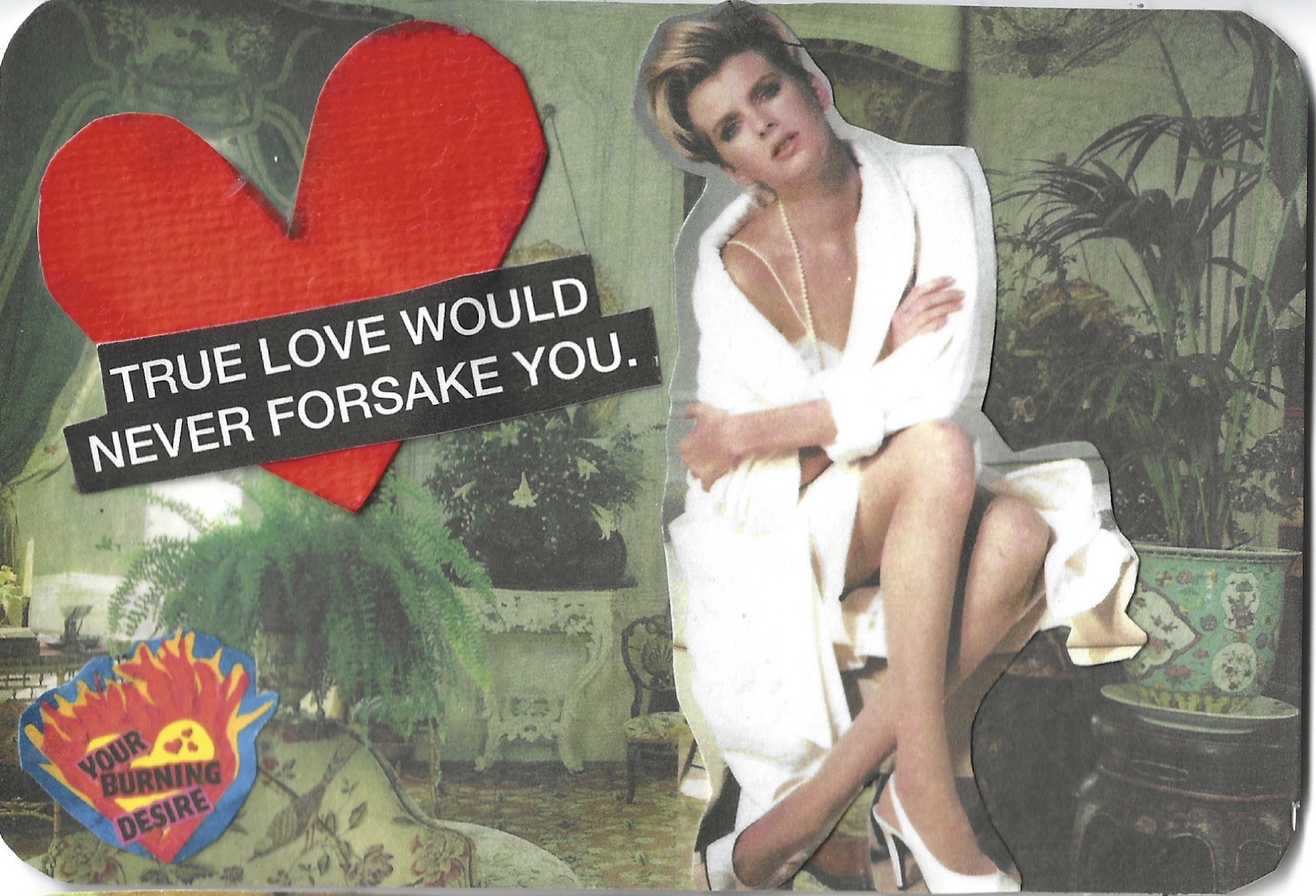 NEVER FORSAKE YOU DEBONAIR FERNS.png