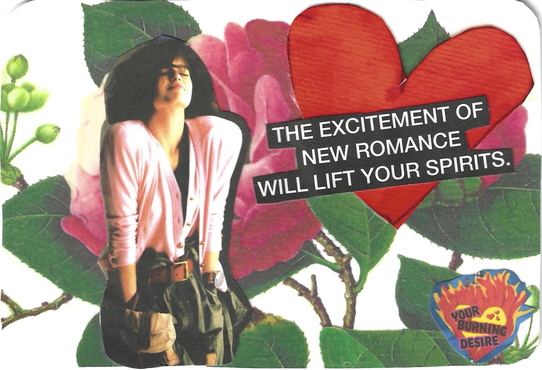 THE EXCITEMENT OF NEW ROMANCE ROSES ECSTASY.png