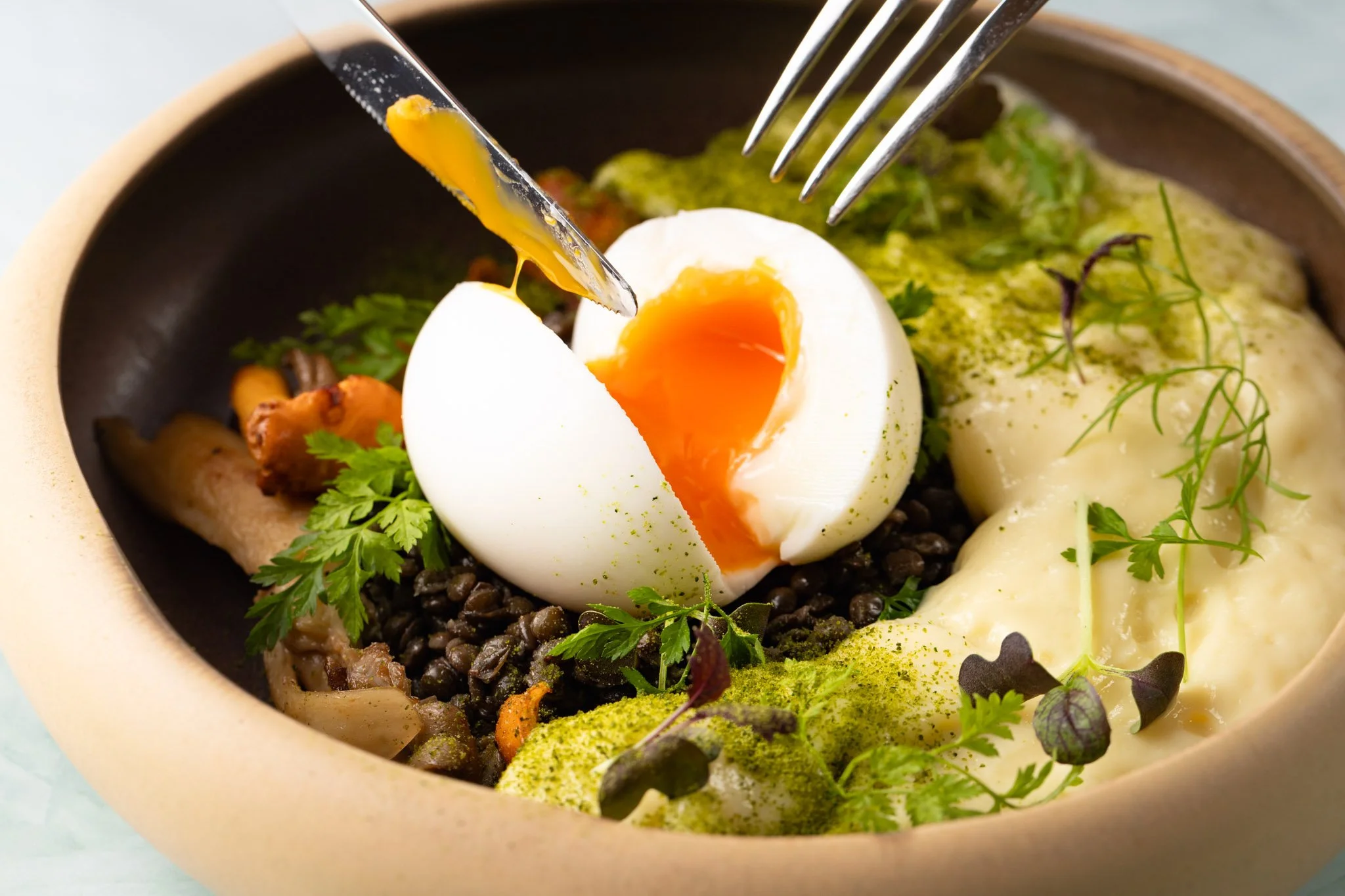 5 minute egg, beluga lentils, herbs, smoked mashed potatoes, and green garnishes.