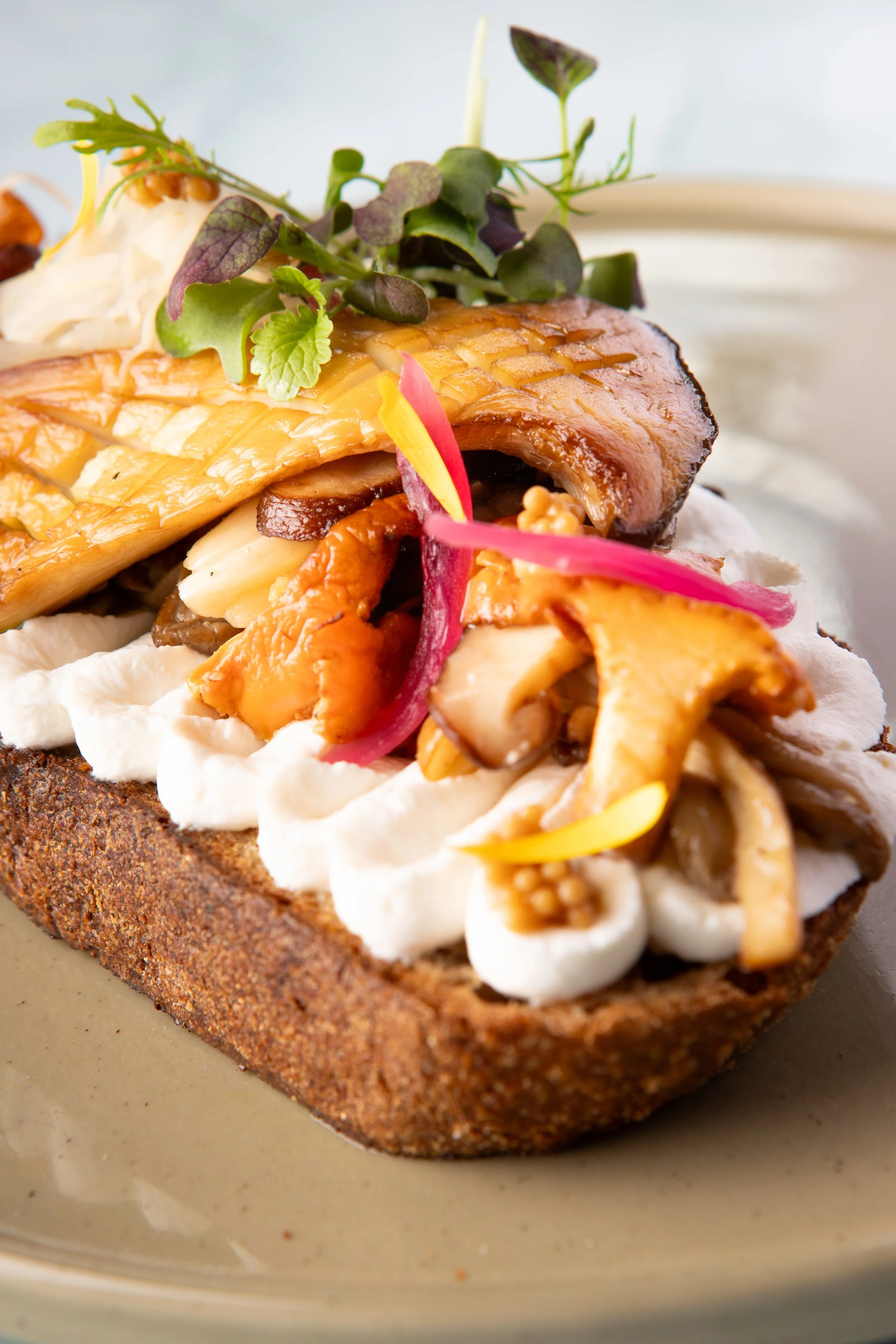 Mushroom artisan toast bread topped with grilled vegetables, microgreens, pickled onions.