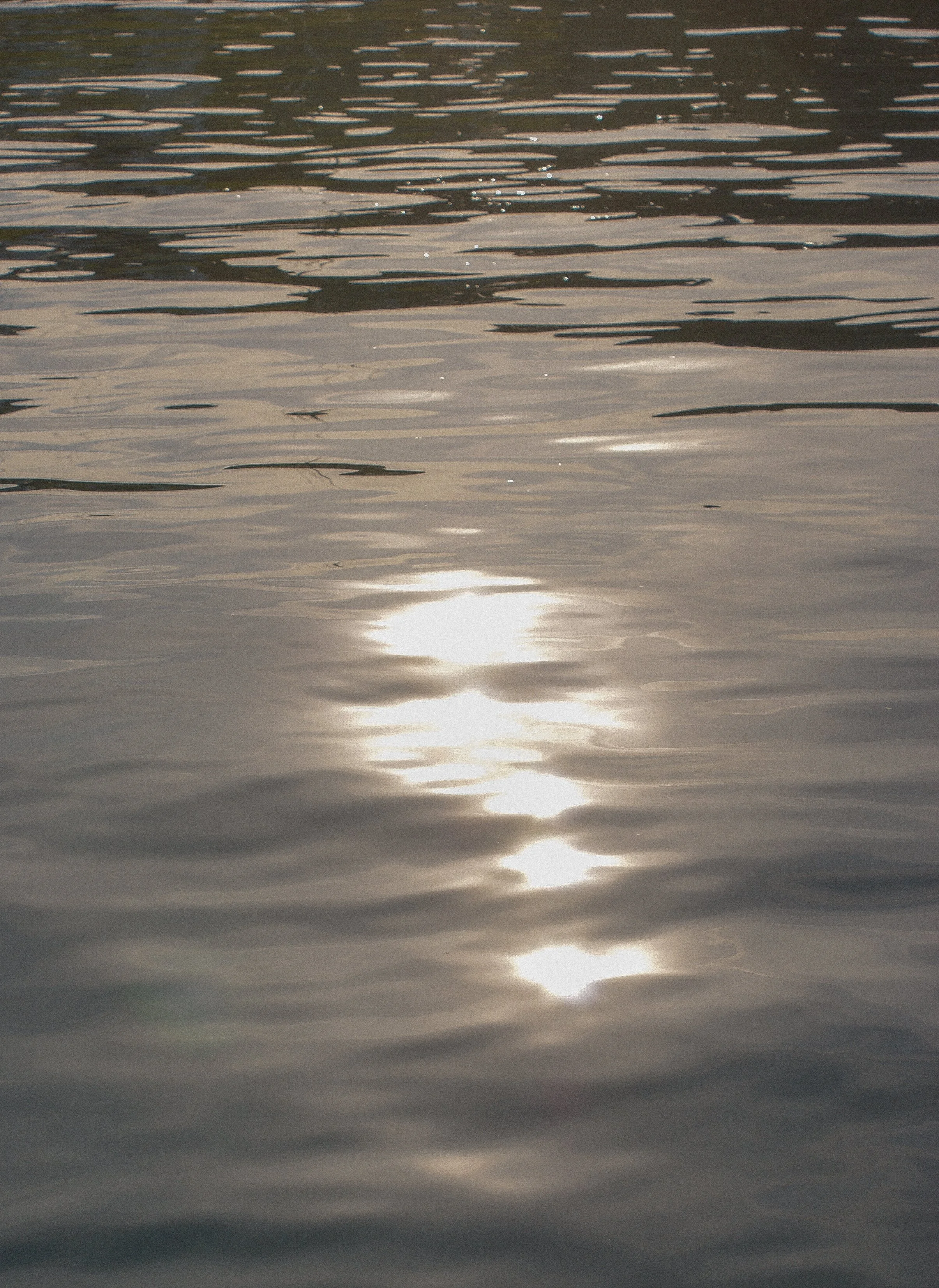 DSC02326-2.jpeg