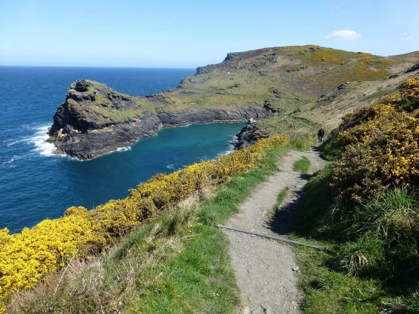 Coastal hiking trail along a cliff overlooking the ocean with yellow flowers and a person walking in the distance.