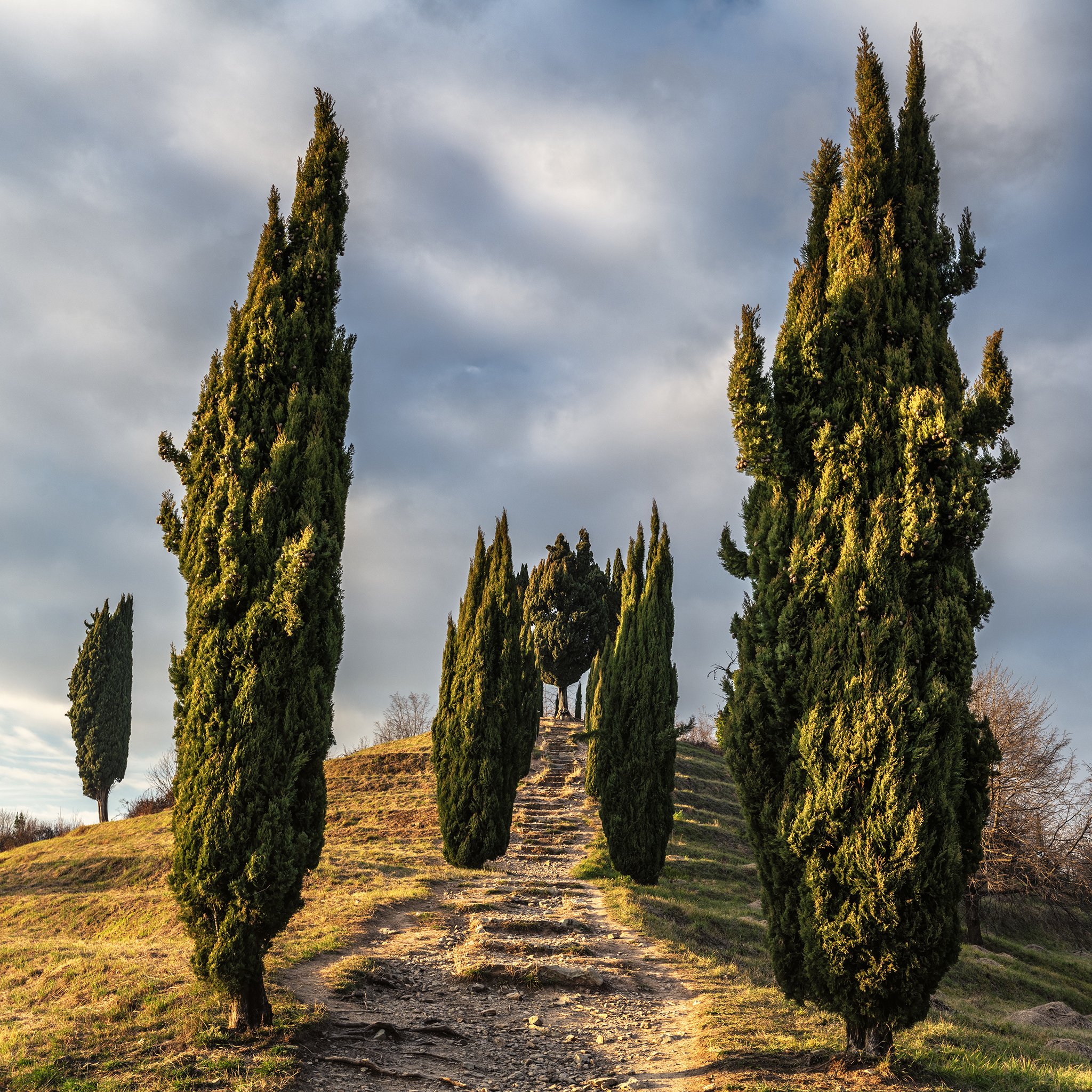 Authentic Leadership Coaching