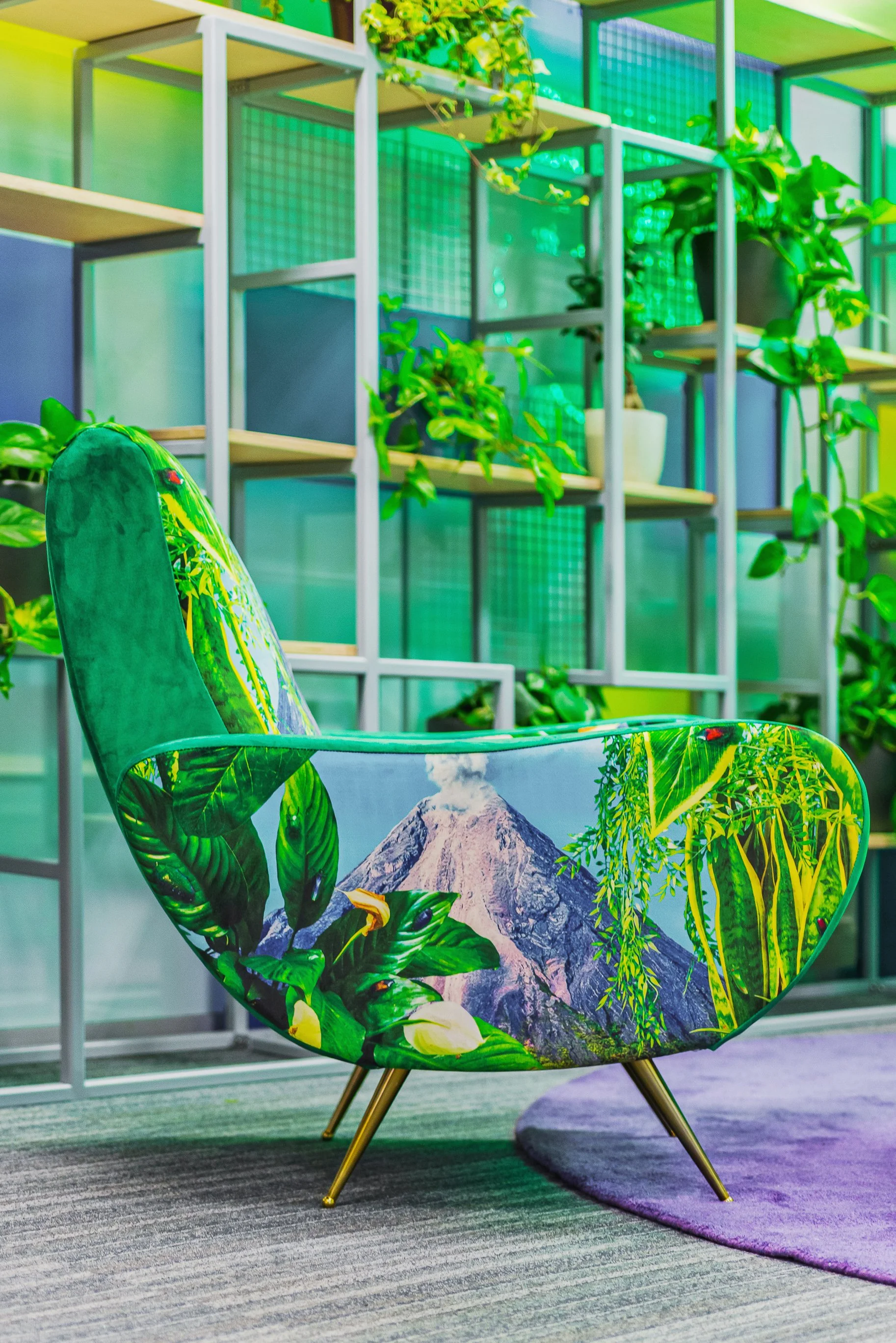 Biuro Wolfgang Dublin15.jpg