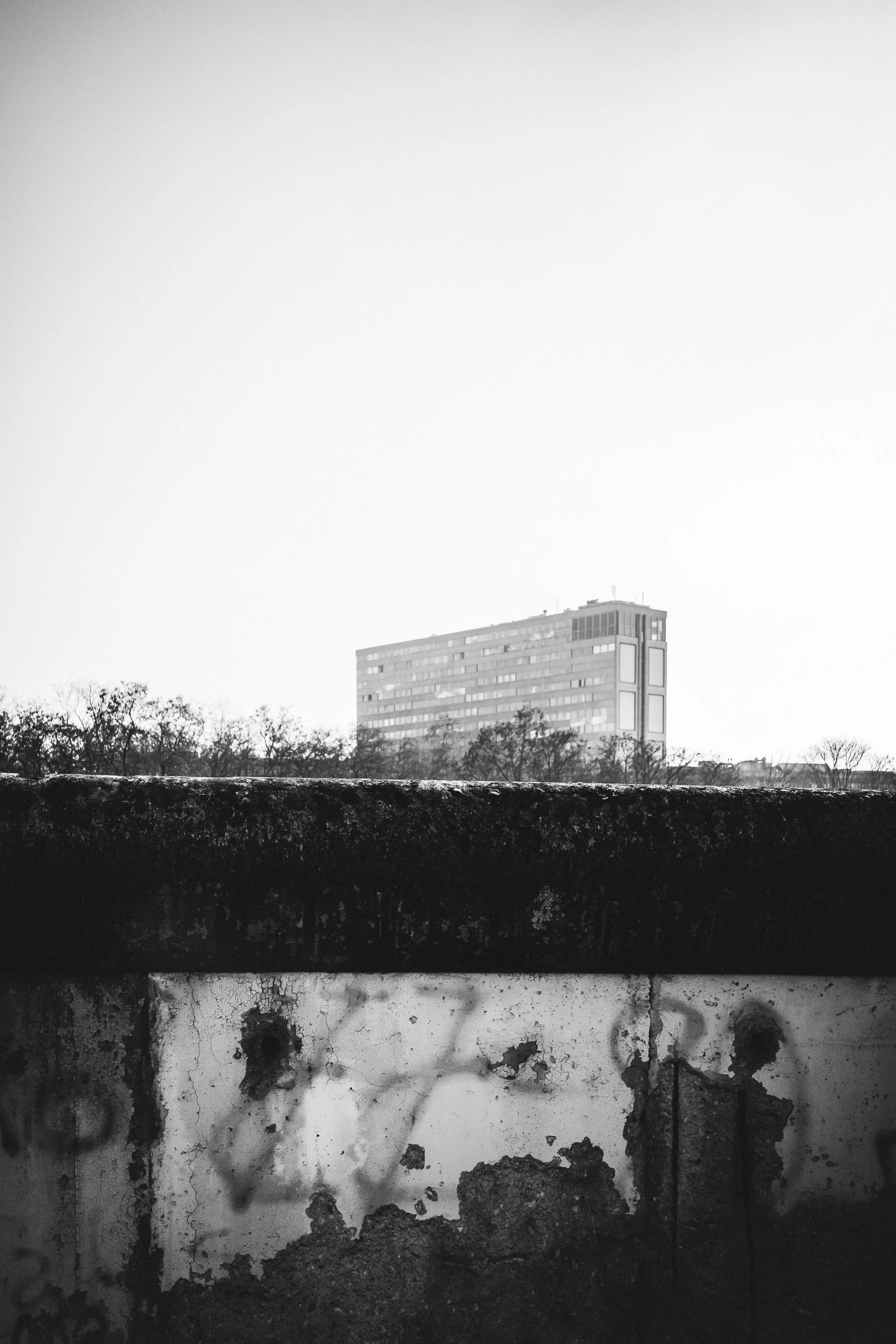 Mur, zieleń i blok mieszkalny w Berlinie - czarno-biała fotografia miejskiej warstwy, ciszy i struktury.