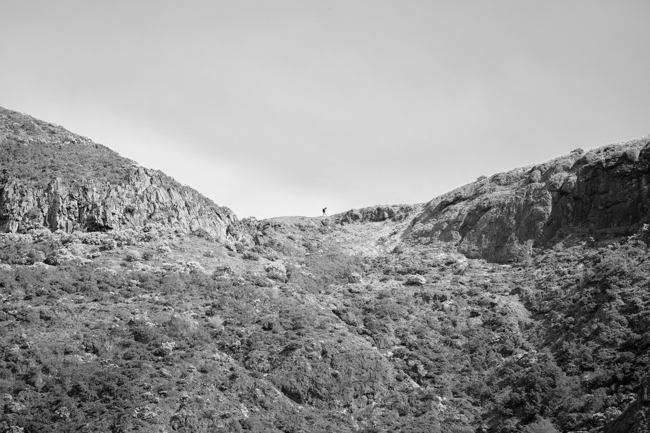 DSC08897 B&W.jpg