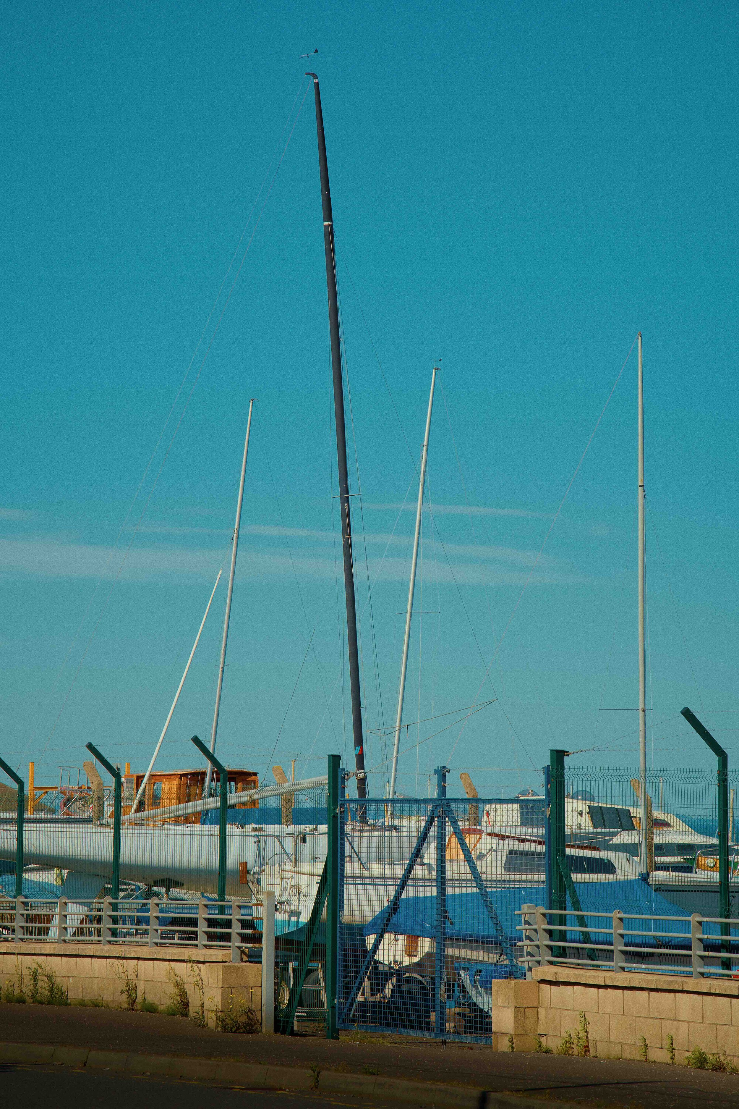 DSC00703.jpg