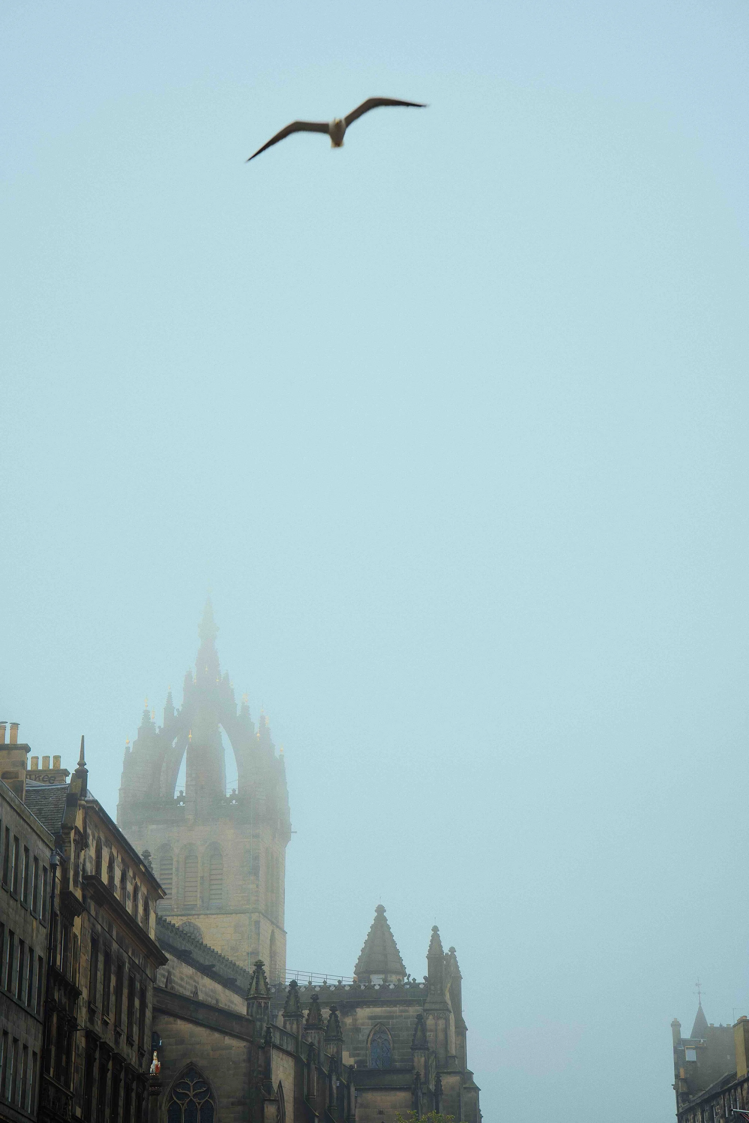 DSC01525.jpg
