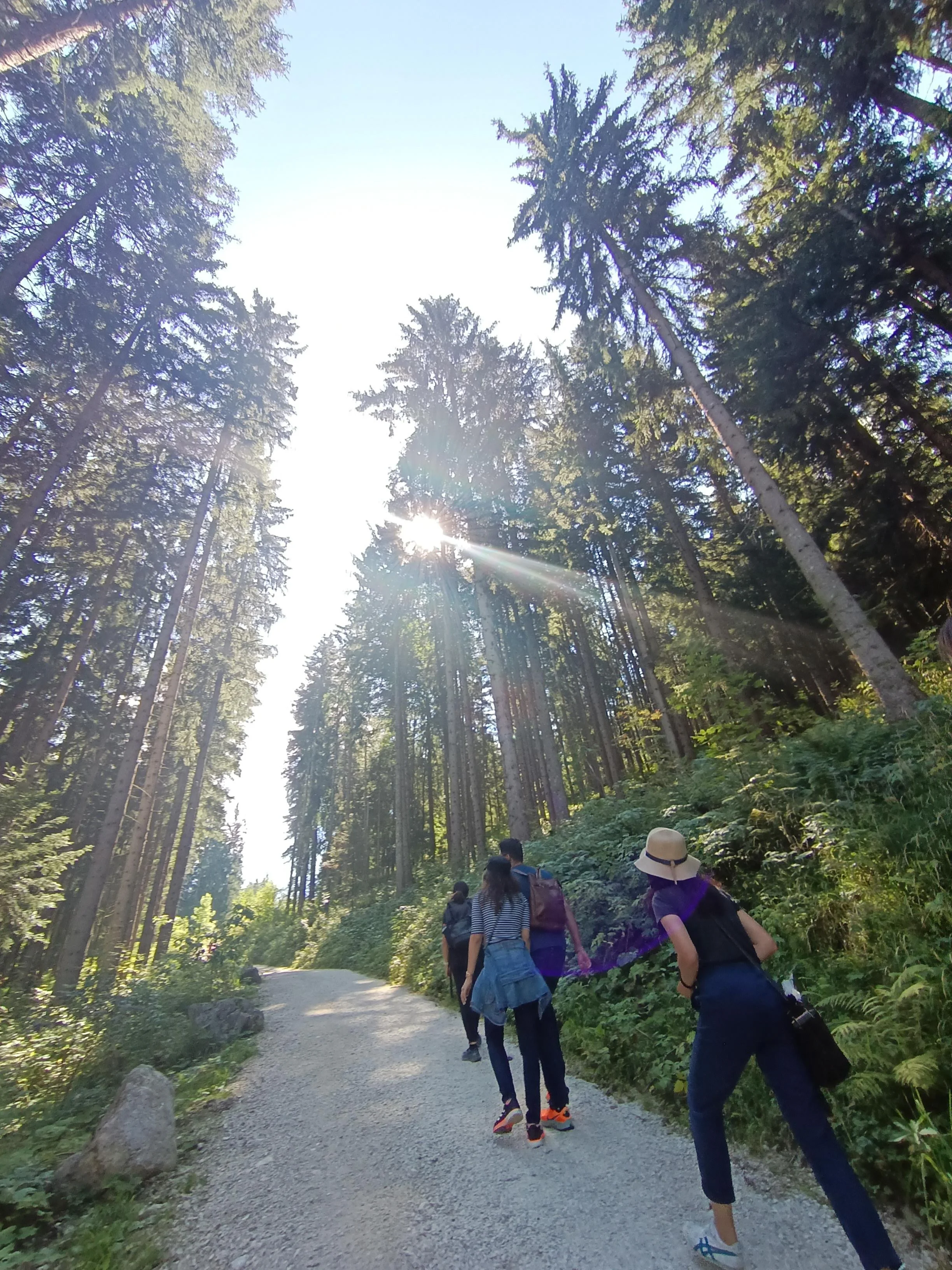 Hike path to Eagle´s Nest
