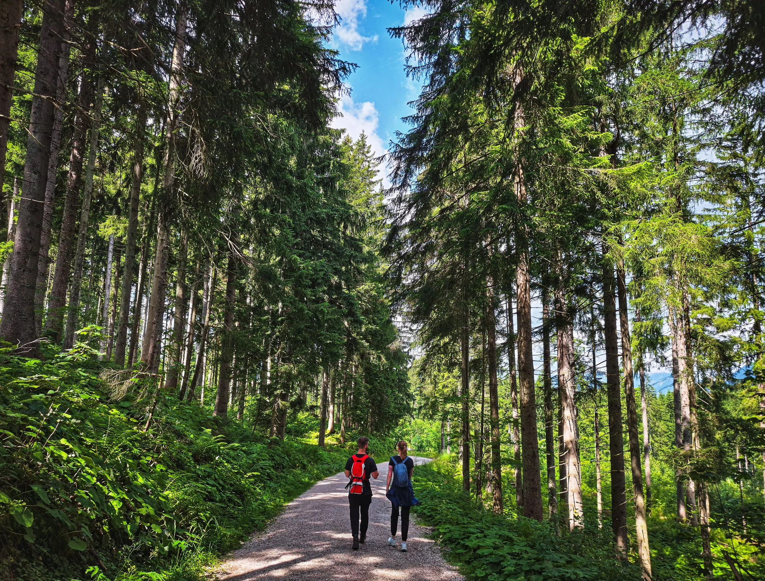 Eagle´s Nest hike path