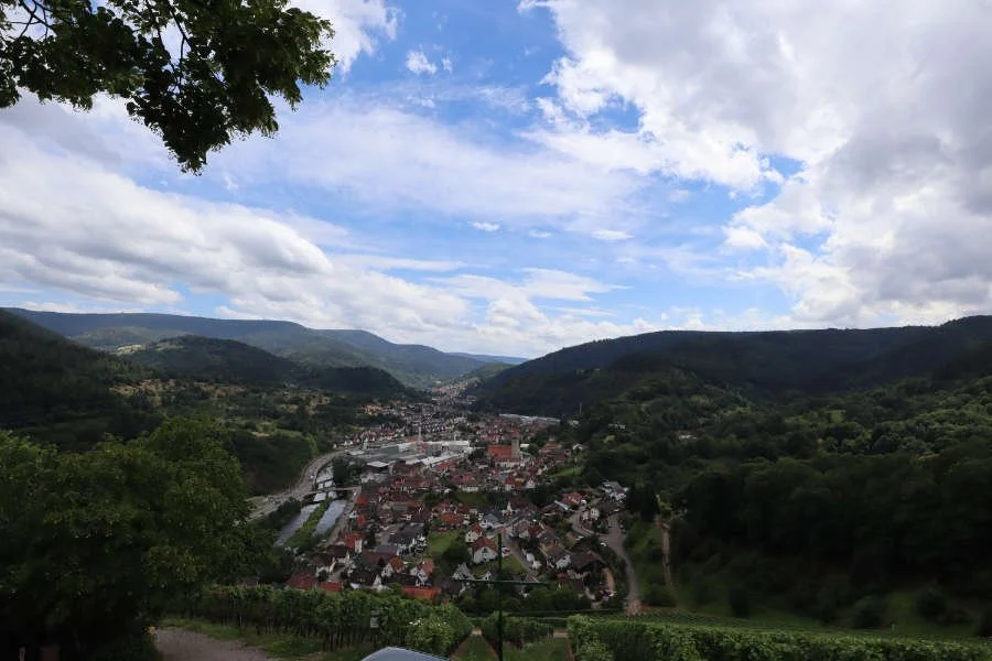 schloss-eberstein-blick.jpg