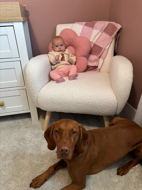 EC430B89-26DC-4922-BDA8-5D1D8EDF483E 2.JPG