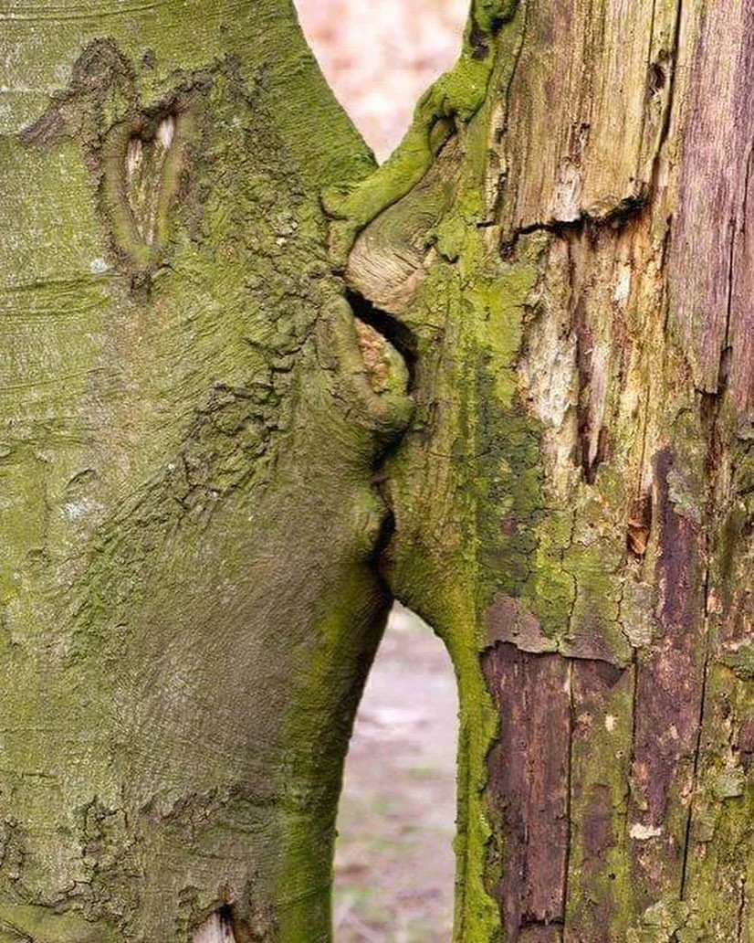 A sense of connection