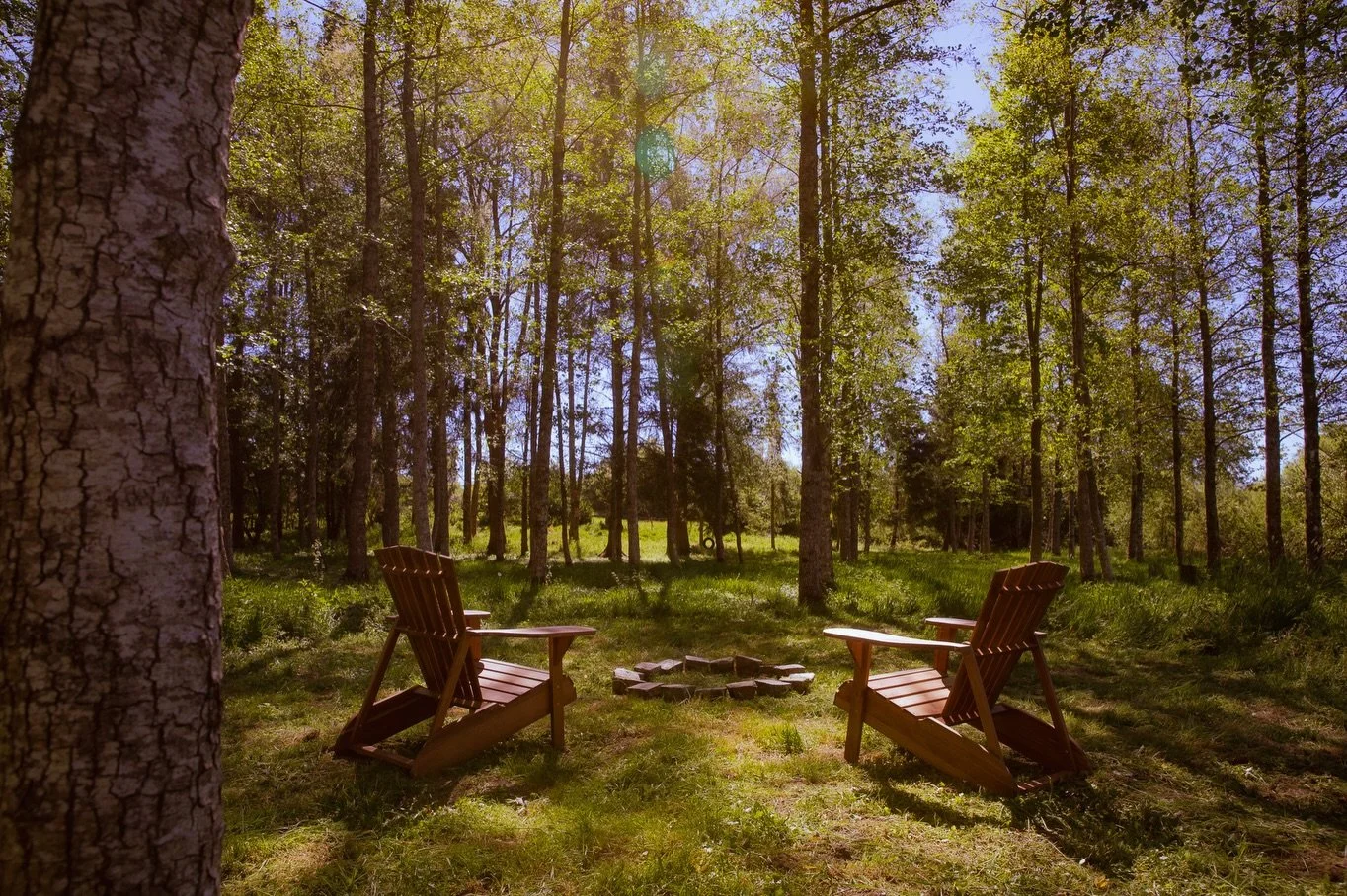 Nothing puts things in perspective quite like feet in the dirt and trees overhead 🌳

#campspot #nature #perspective #forest #grounding