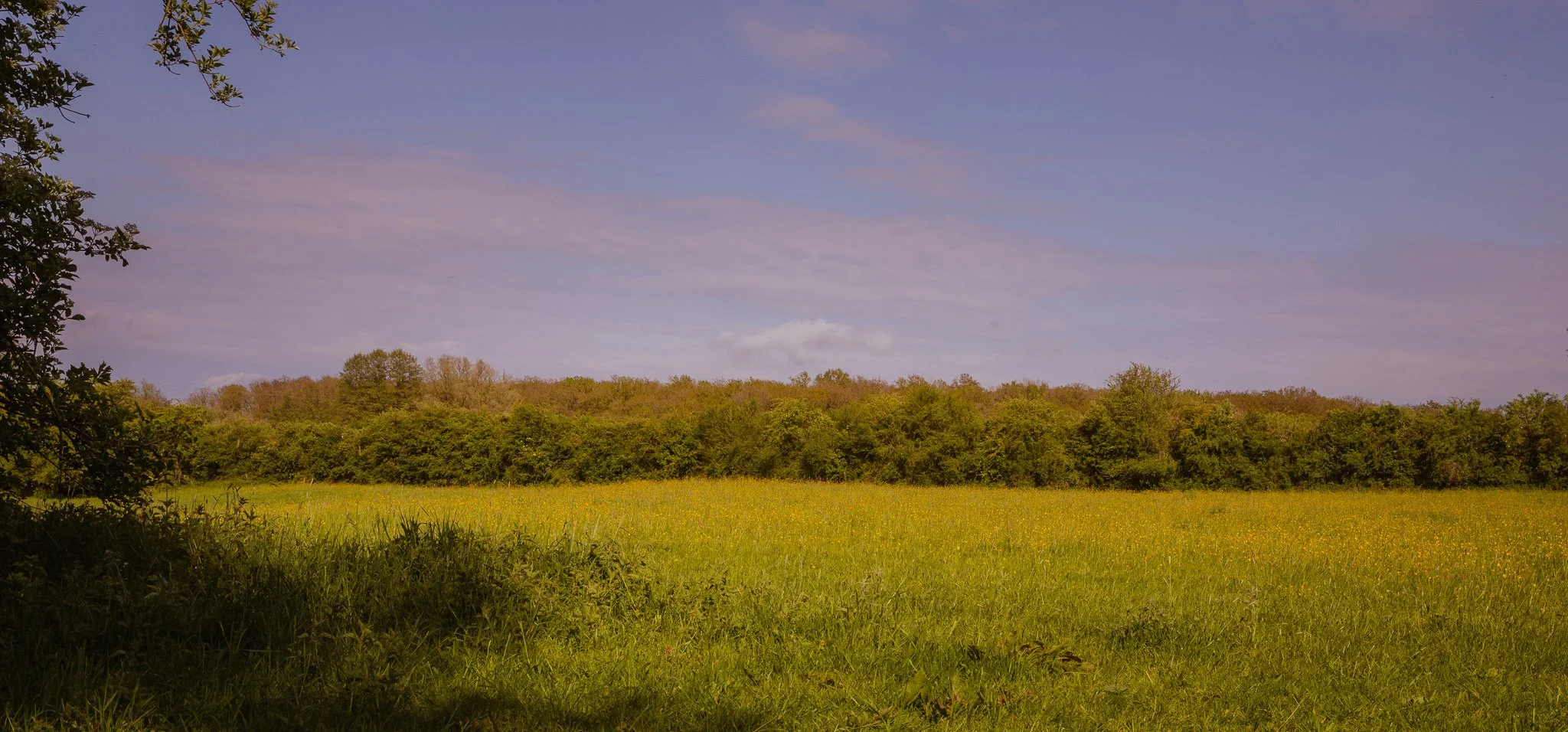 On overcoming our fear of nature
