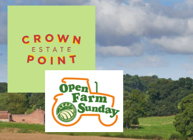Open Farm Sunday at Warners Park, Trowse NR14 8TR         (Opp. Whittlingham Country Park)