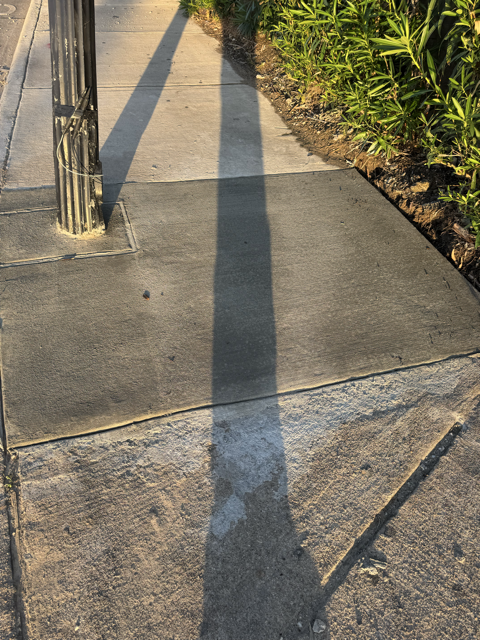 IMG_3175 Medium.png