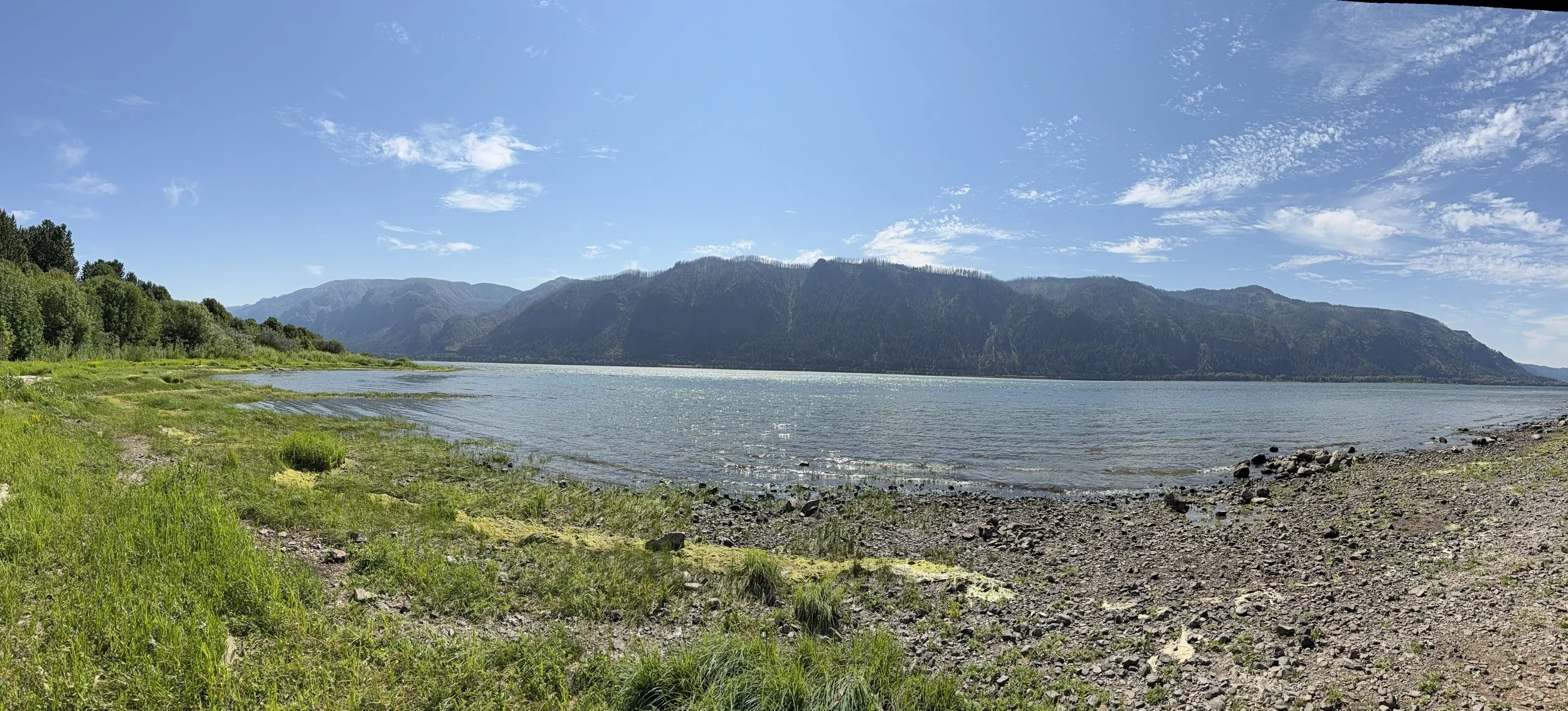 IMG_0509.jpeg
