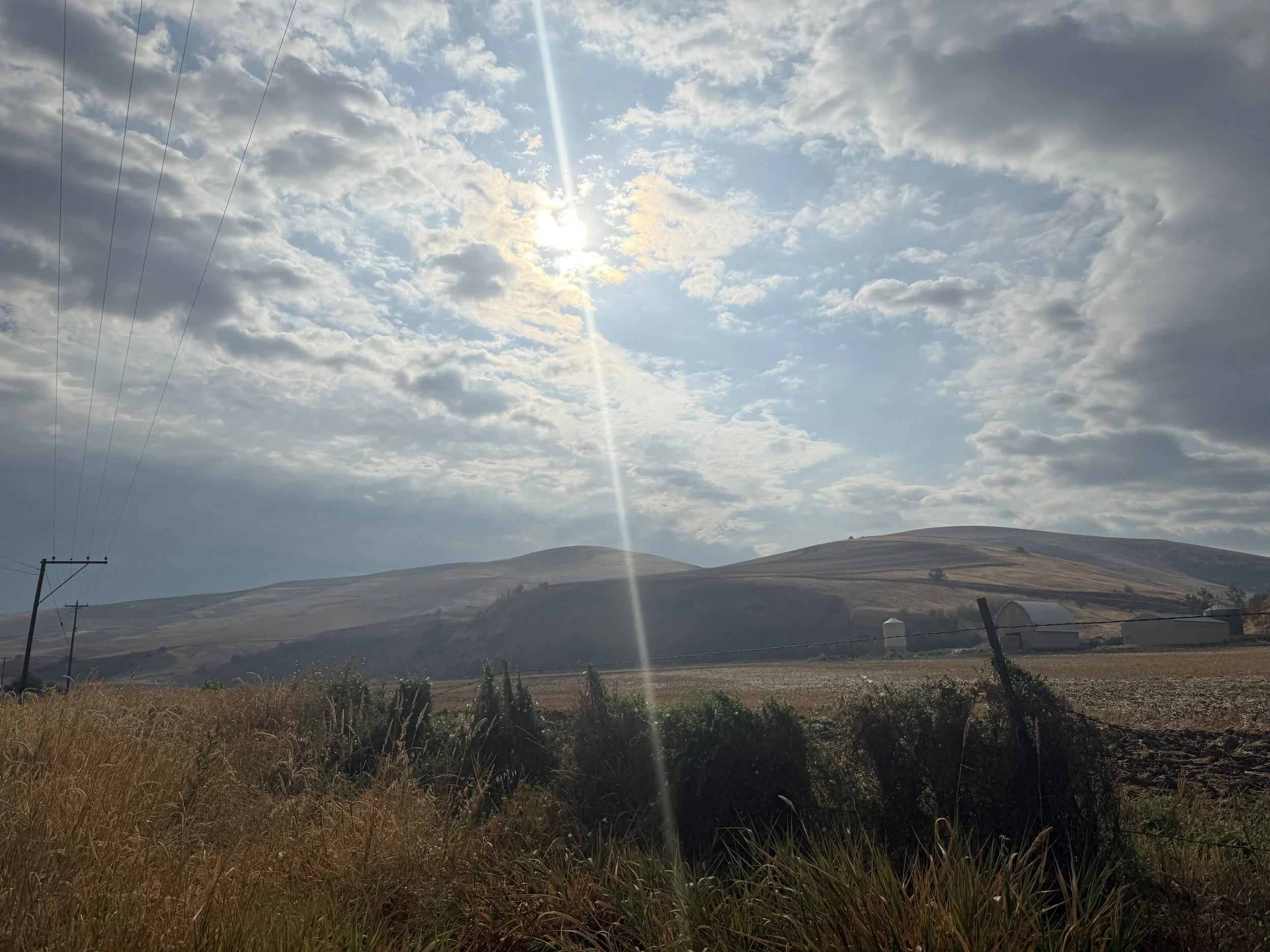 IMG_0669.jpeg