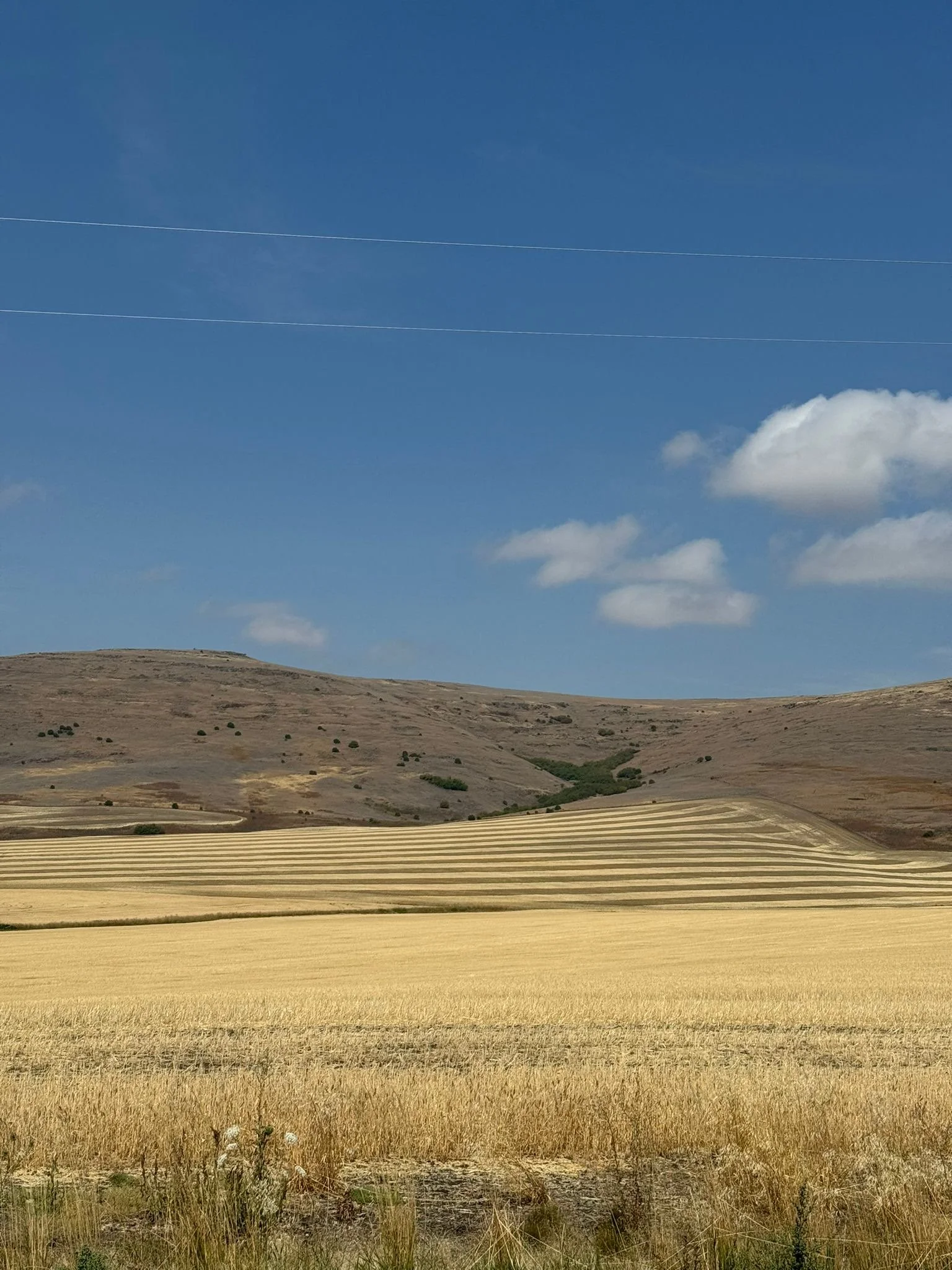 7953a68b-68ca-4e5f-9f66-0e81285c58fe.jpeg