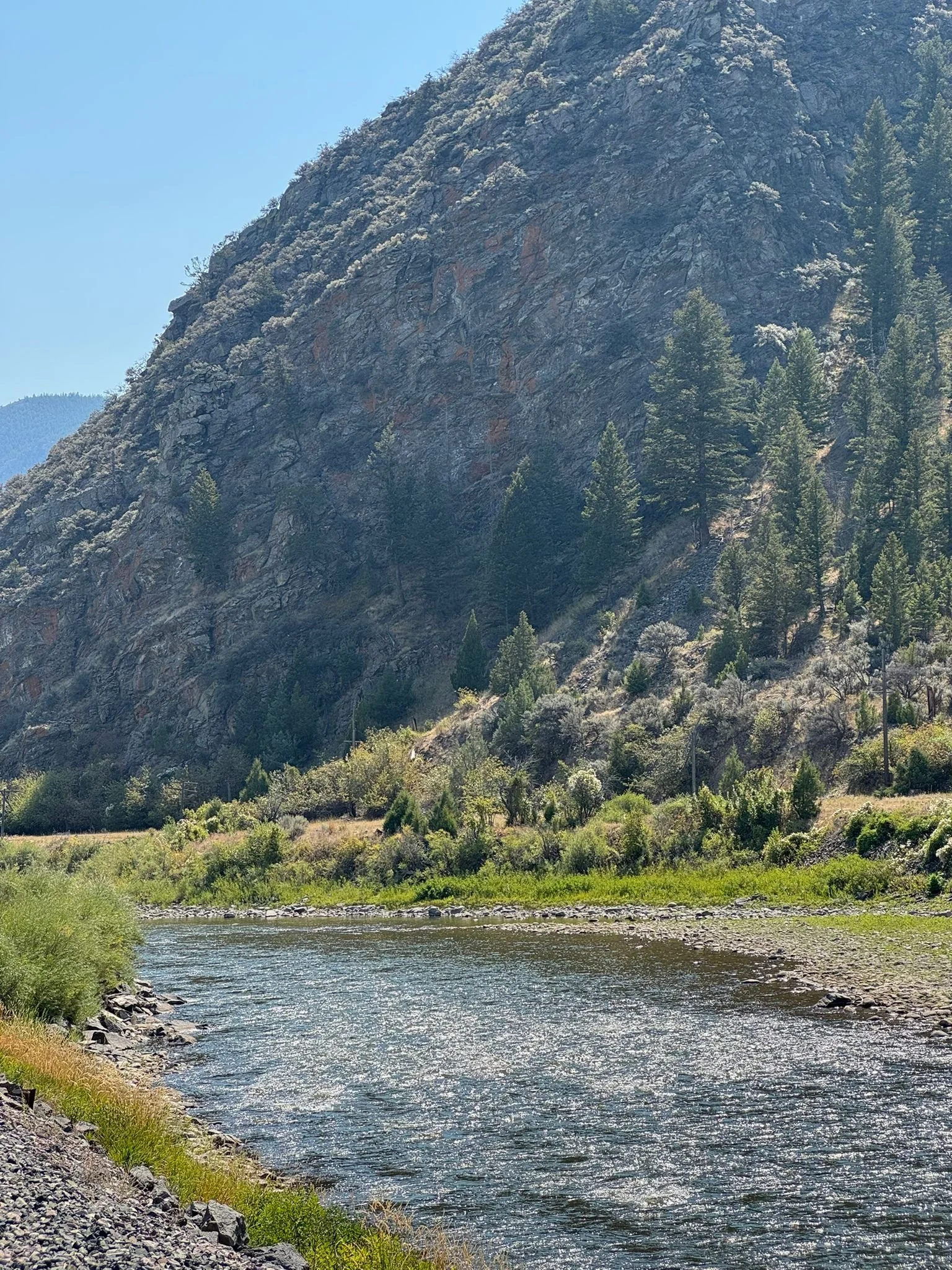 d0228dd8-3235-4c7d-9778-e69530ad6425.jpeg