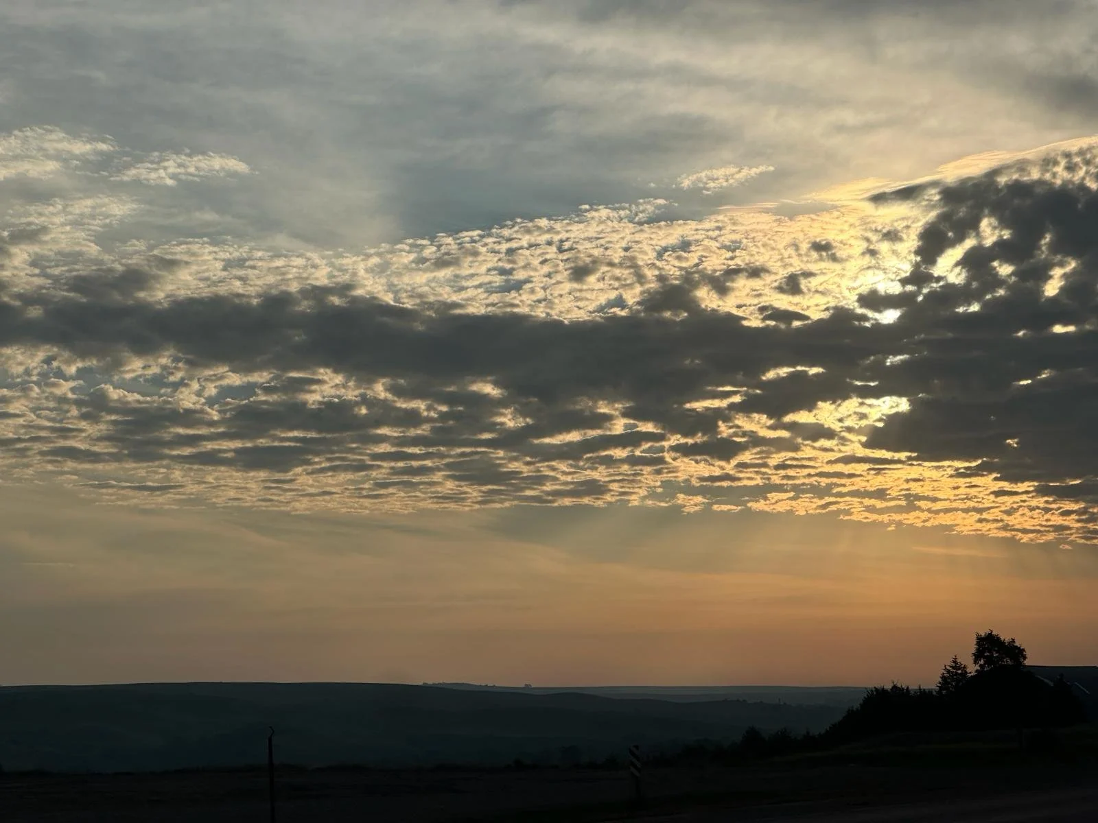 b2cc0217-848c-4c86-a3a8-ae543d496e47.jpeg