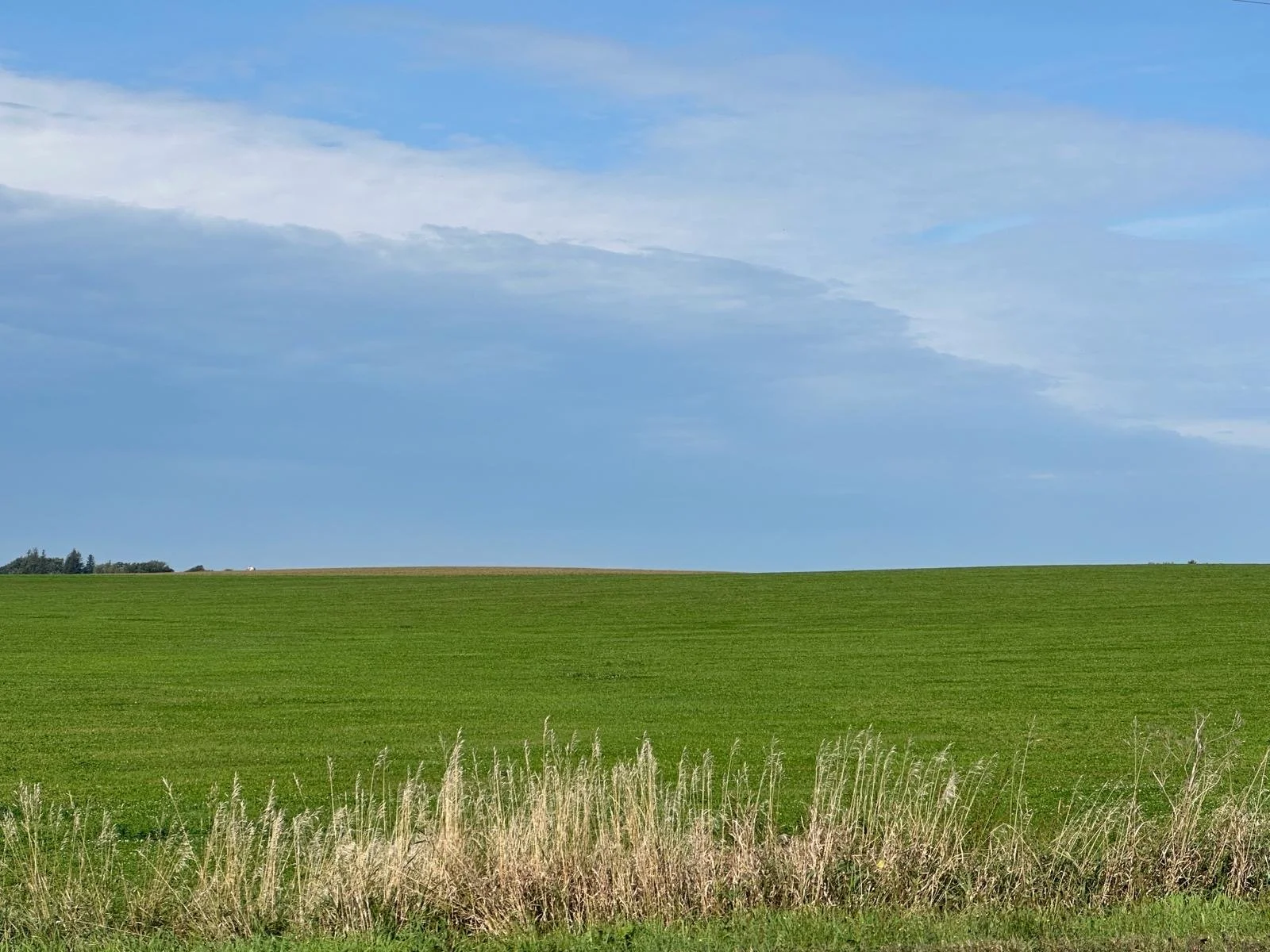 40e13098-14de-423b-92e9-f1b2b508c5e7.jpeg