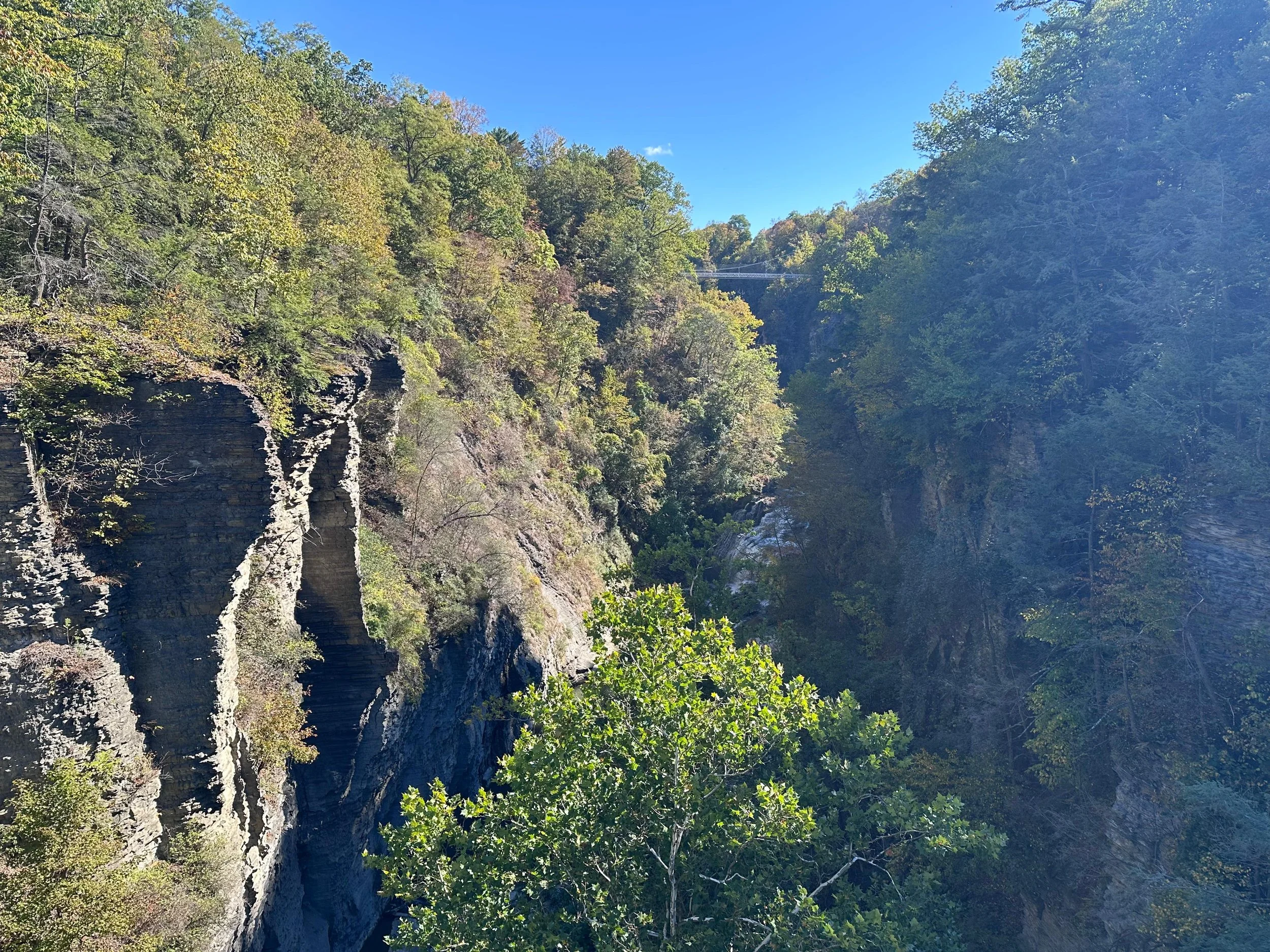 c6f4766a-0728-4d5e-aa8a-86e3802977b5.jpeg