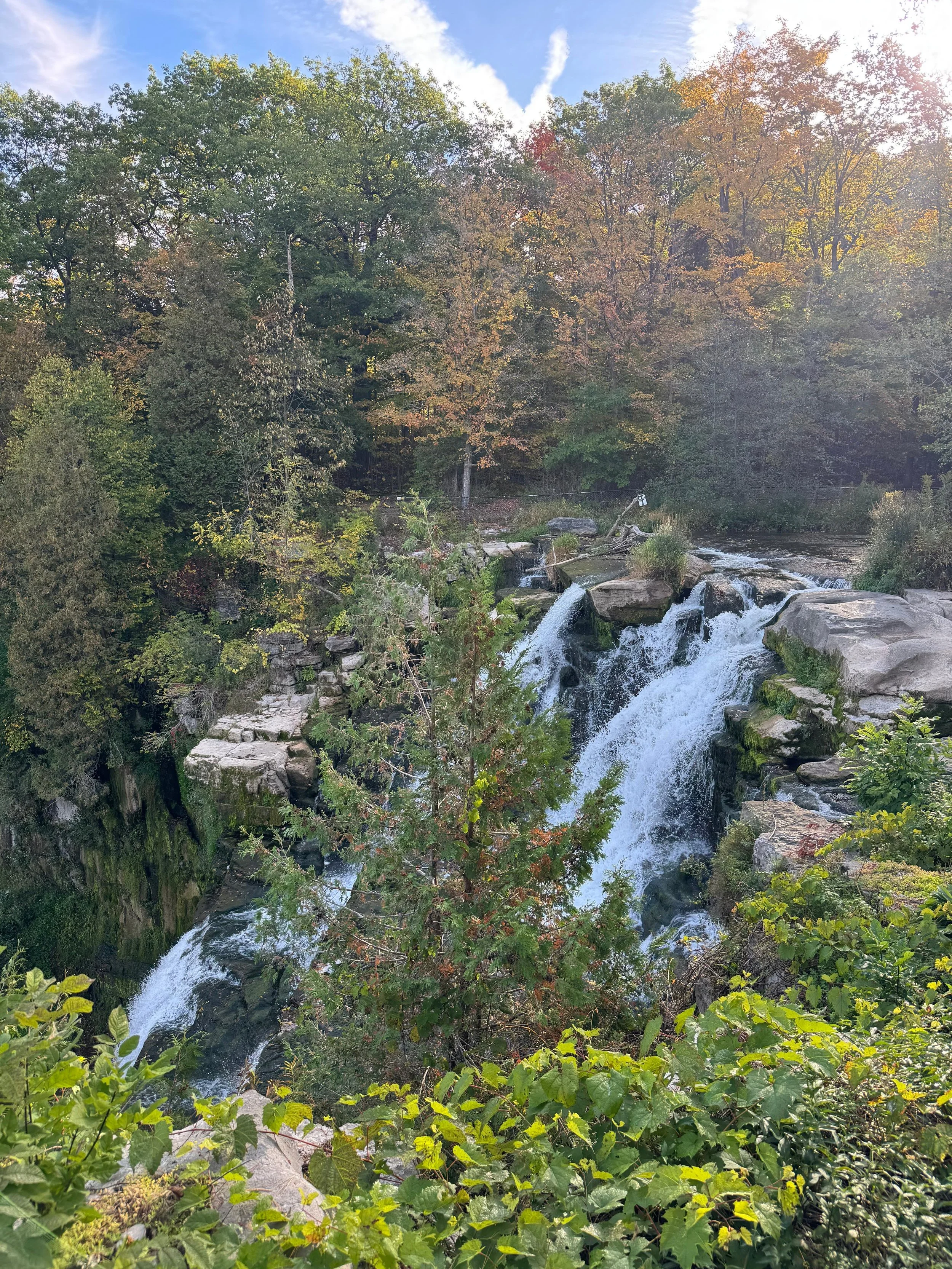 D3D464BD-3233-4F64-A484-4B3AD0496D41.jpeg