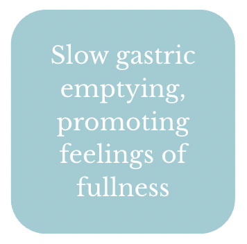 A light blue rounded rectangle with white text that says, 'Slow gastric emptying, promoting feelings of fullness.'