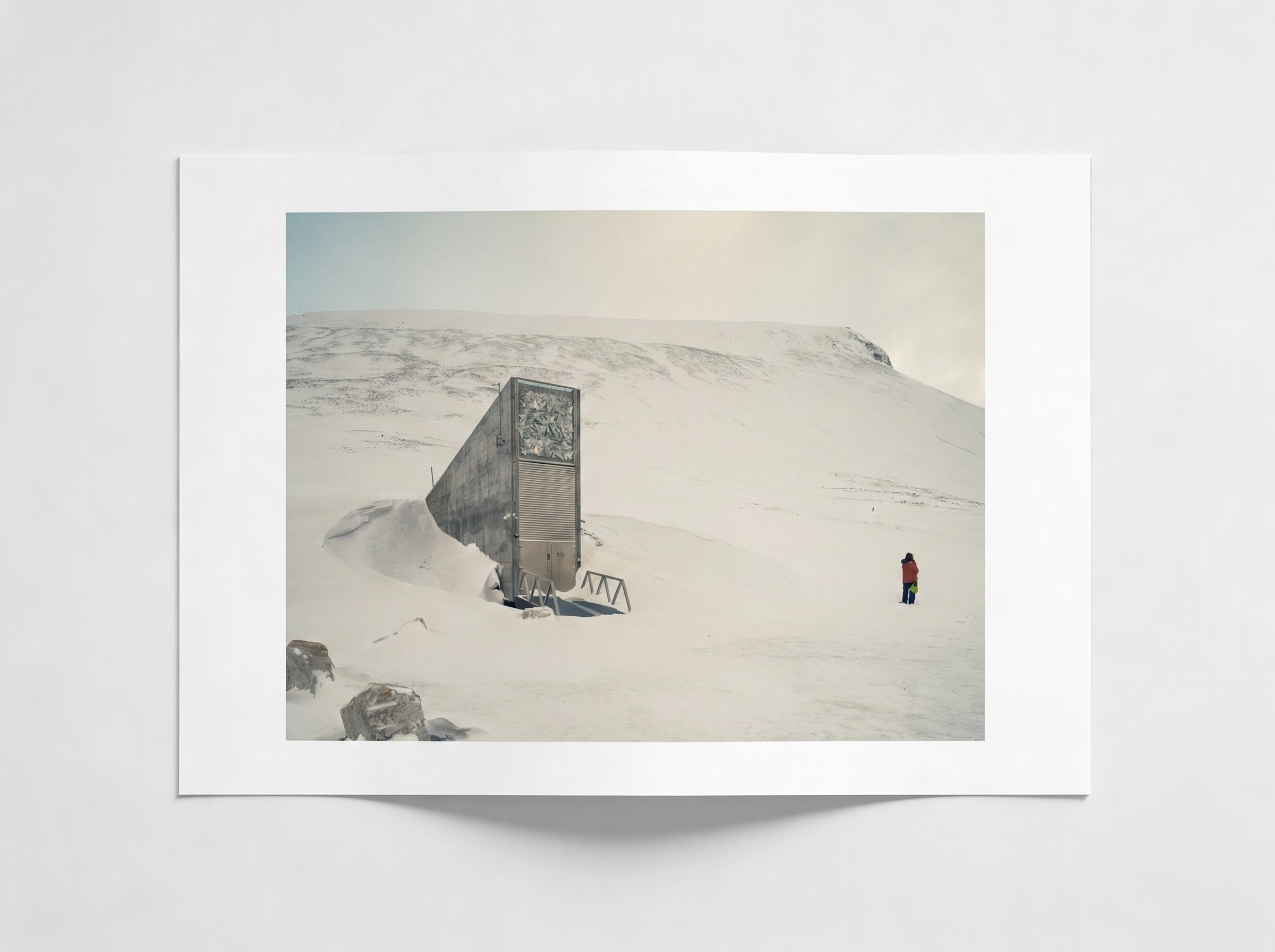 Collector Print (40×50 cm)