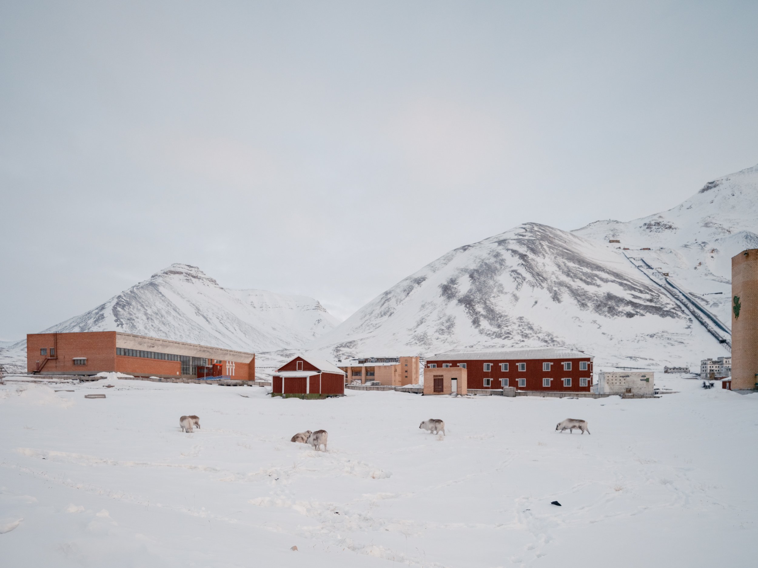 05_reindeer-red-facades.jpg