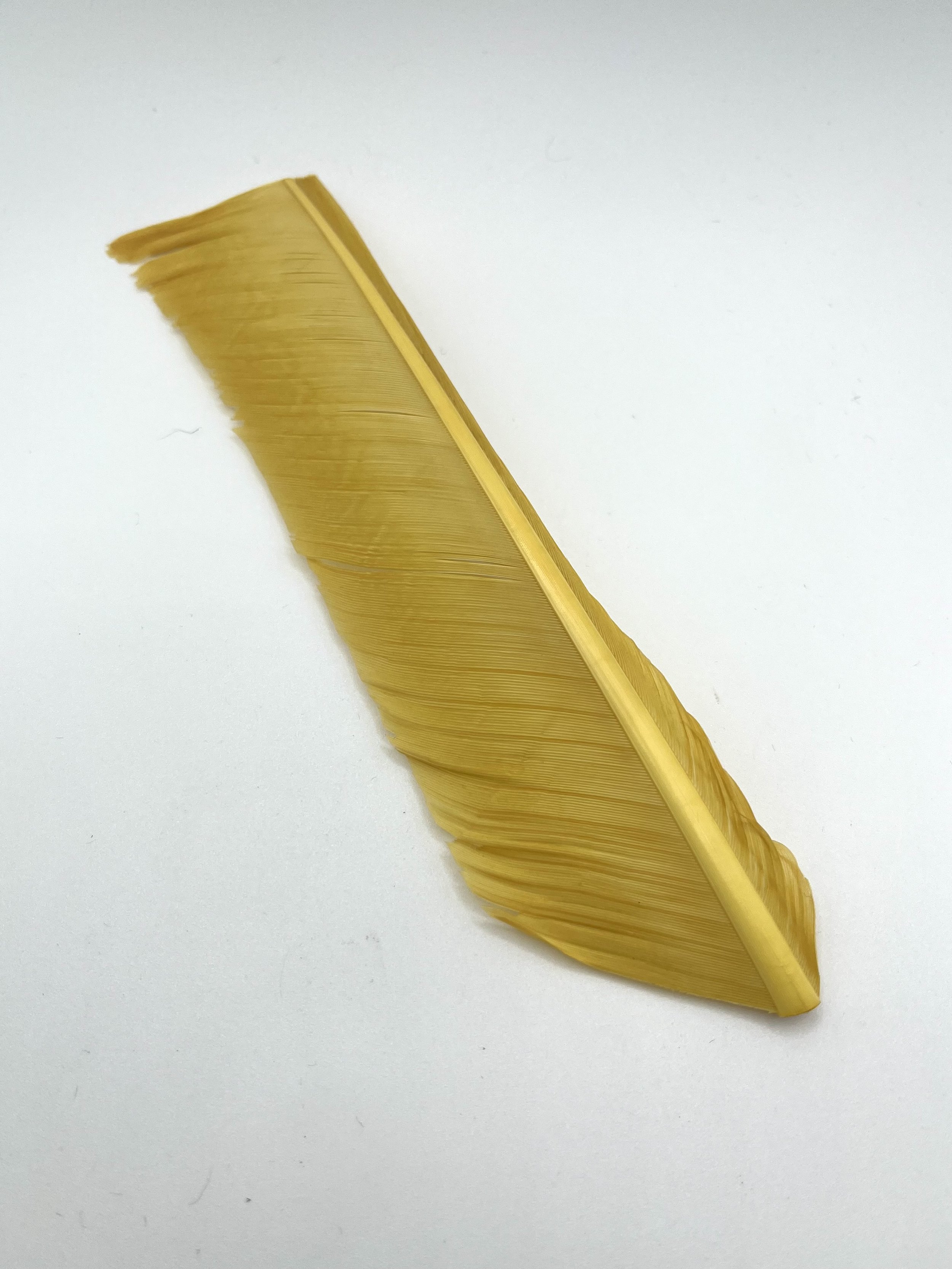 Nature's Spirit Turkey Biot Quills