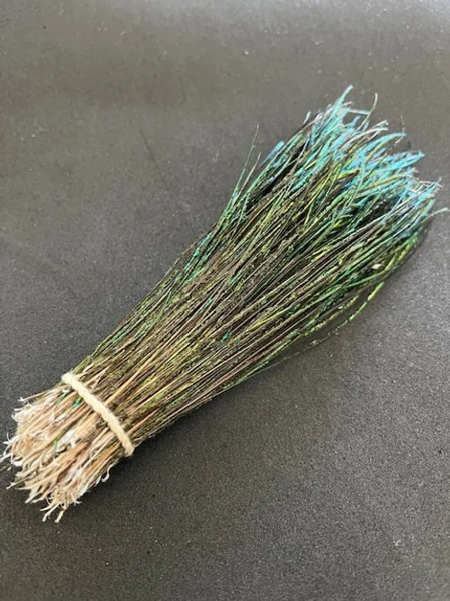 Strung Peacock Herl