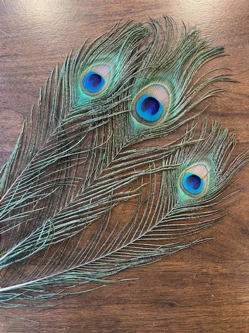Peacock Eye Stick