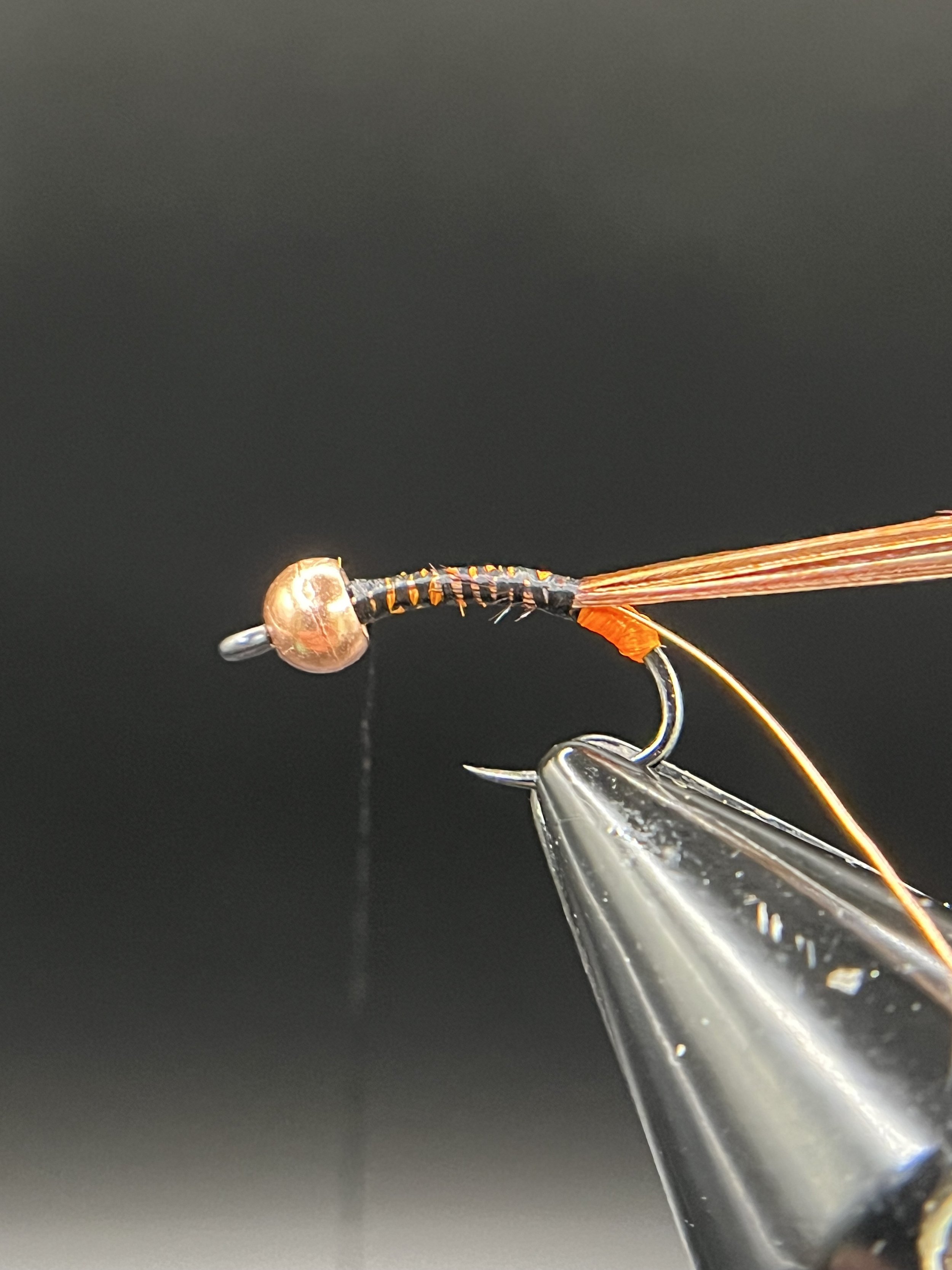 Tie in 4-6 fibers of Ringneck Pheasant Tail