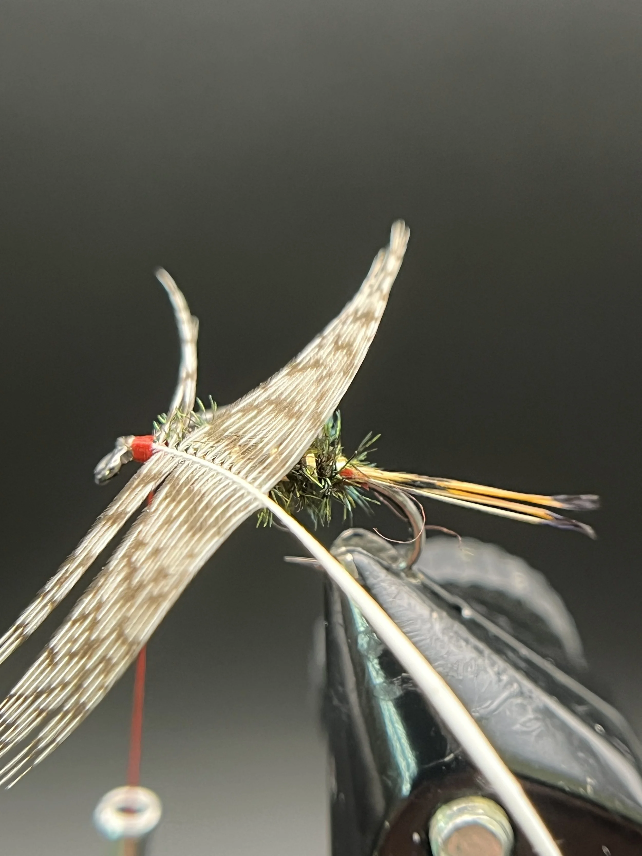 Strip the fluff off a partridge feather and tie in by the tip