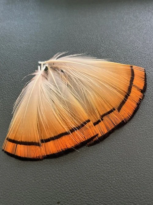 Golden Pheasant Tippets
