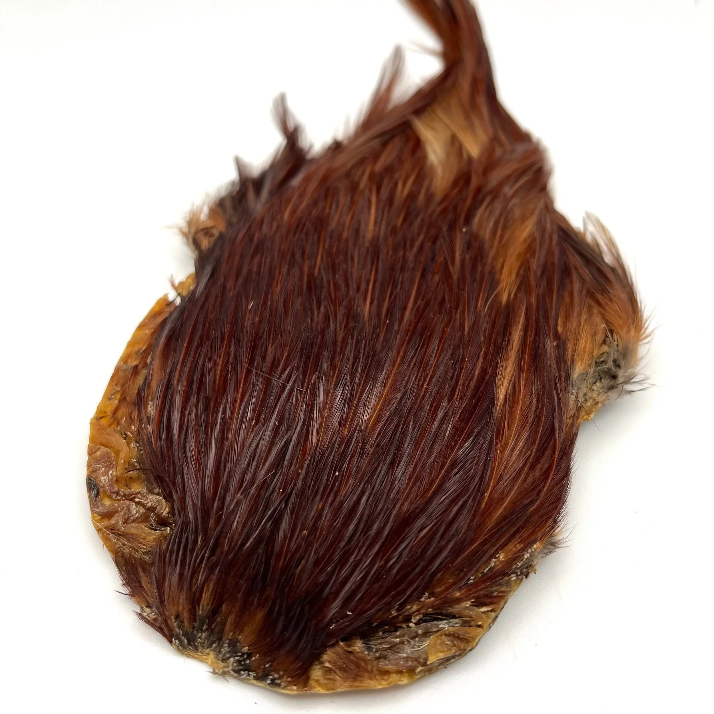 DOHIKU India Rooster Cape