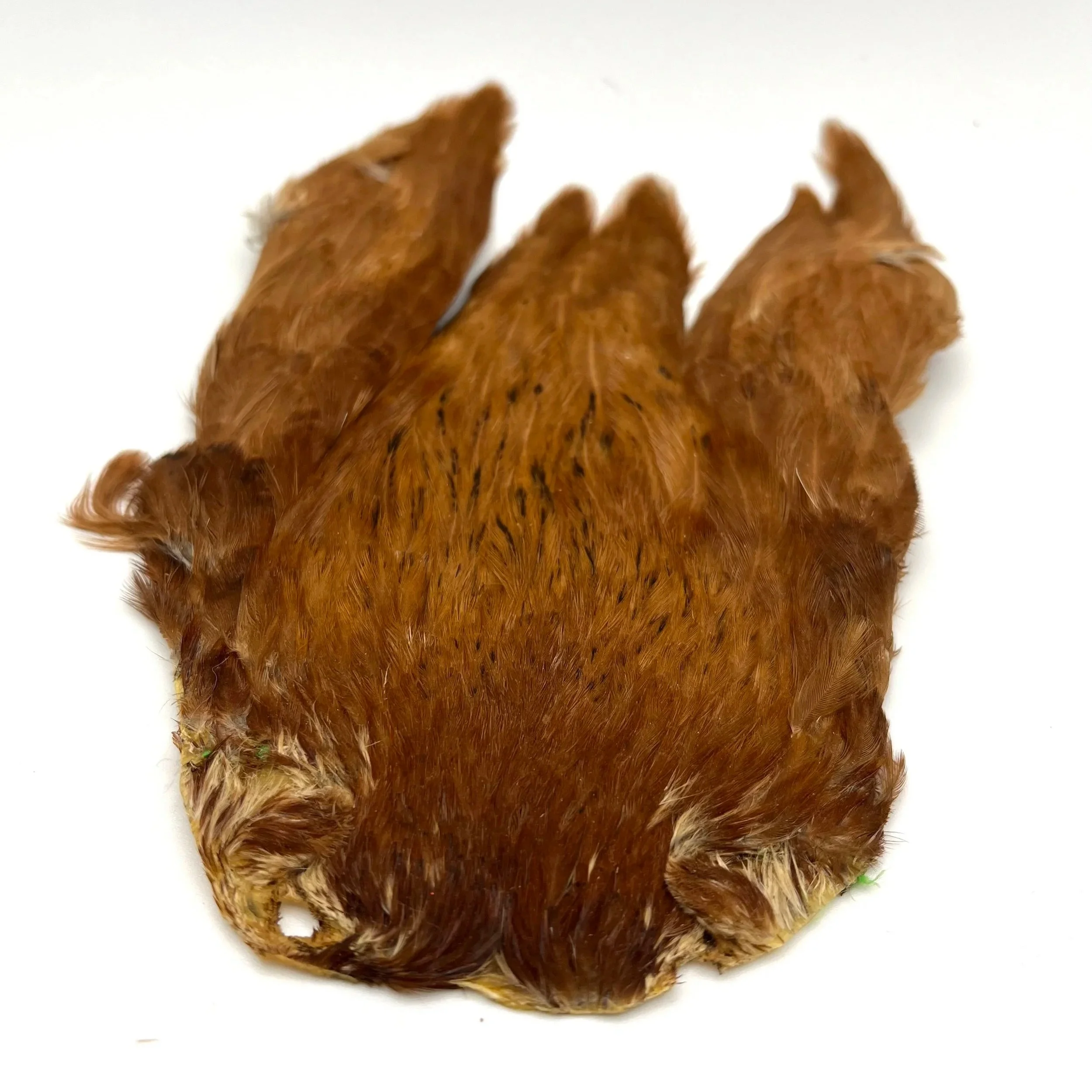 DOHIKU India Hen Cape