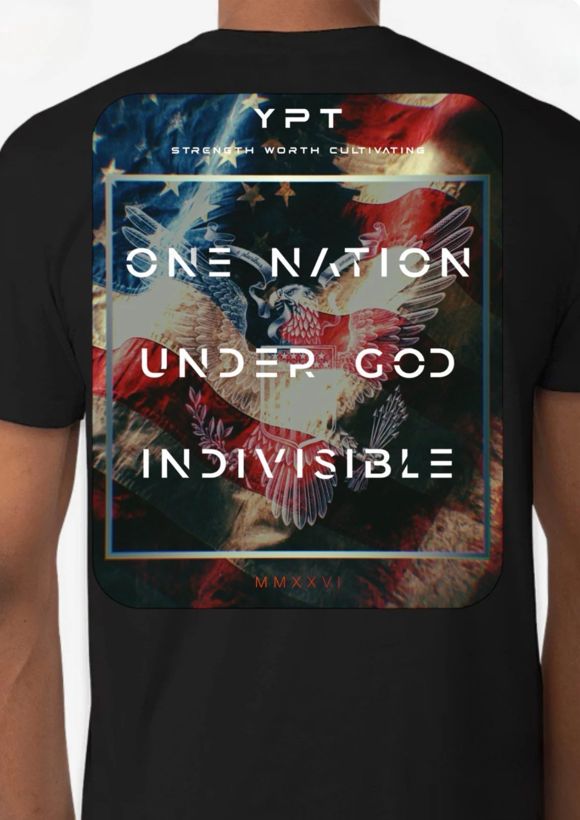 YPT Stars N Stripes.JPEG