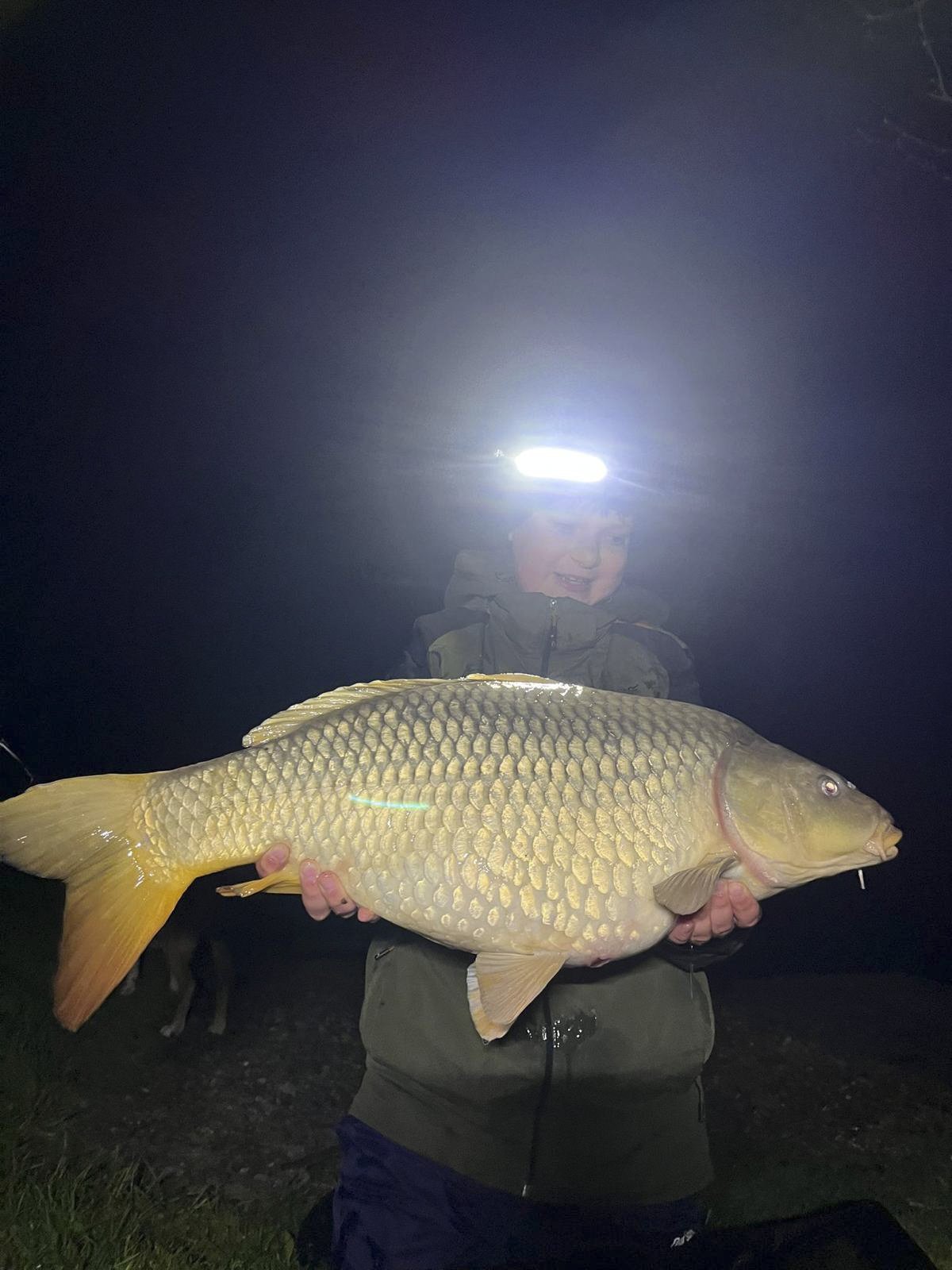 A person holding a large fish at night, wearing a headlamp and outdoor jacket, with a dark background.