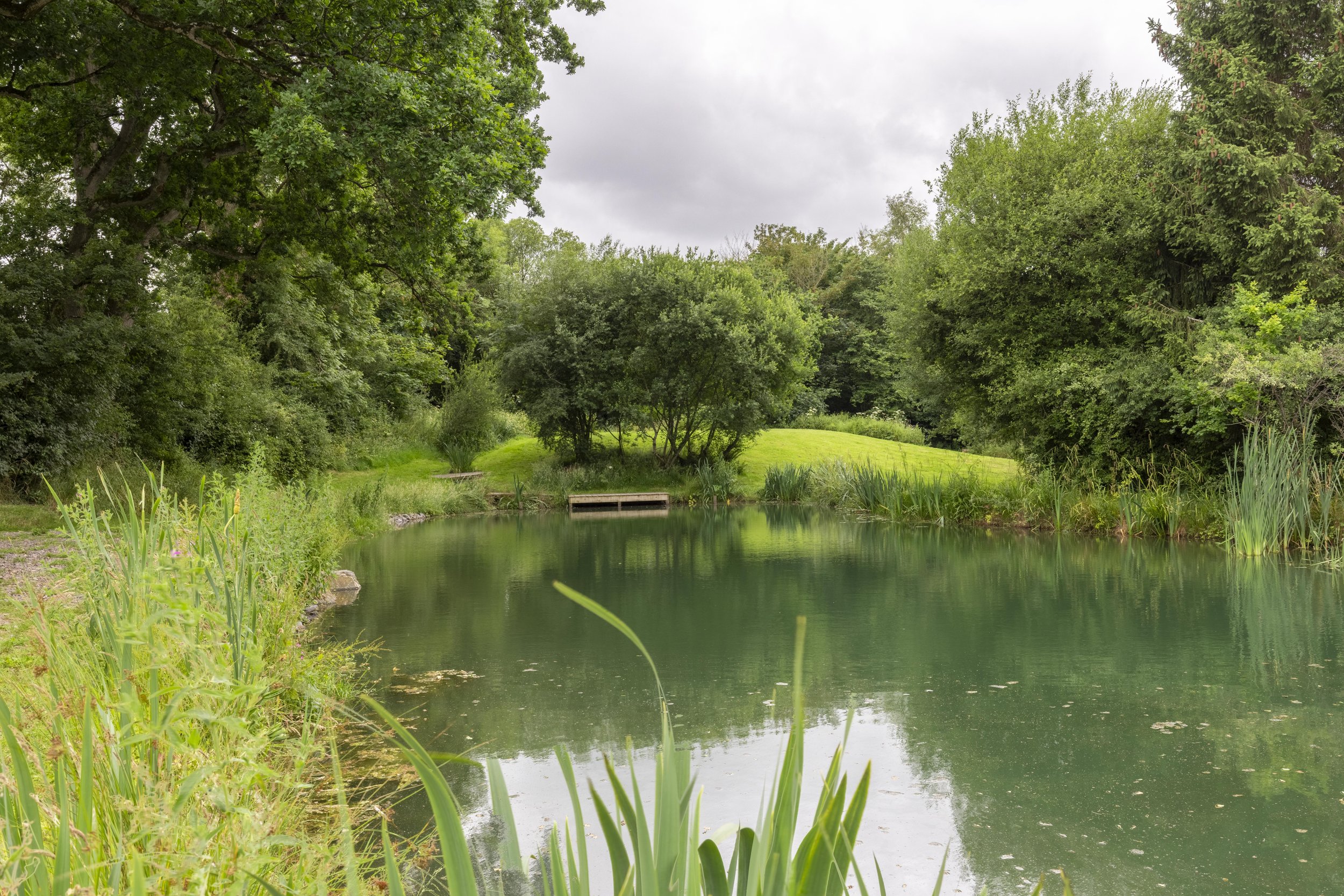 A peaceful scene of a small pond surrounded by lush green trees and grass, with overcast sky.