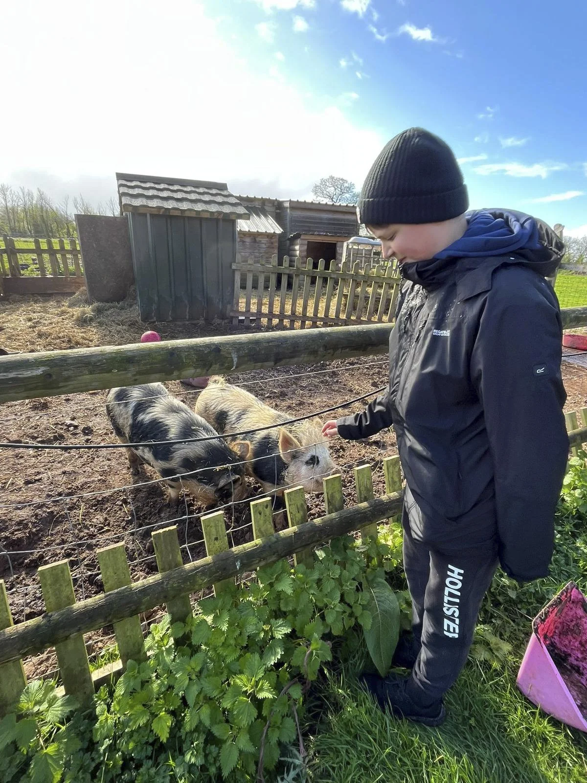 A boy in a black jacket and beanie petting two piglets through a wooden and wire fence at a farm. There are farm structures and a partly cloudy sky in the background.