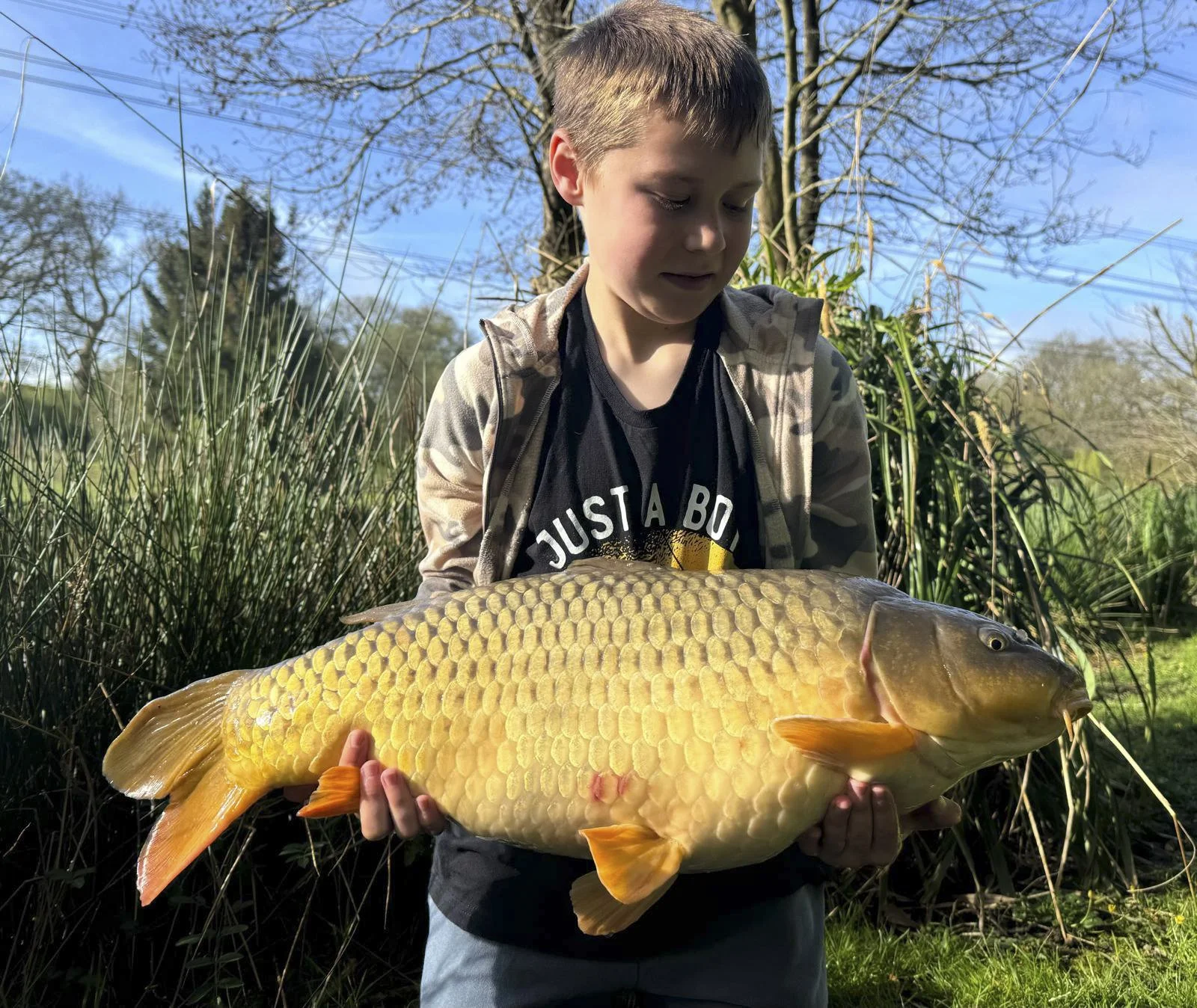 A boy holding a large yellow carp fish outdoors on a sunny day with trees and blue sky in the background.