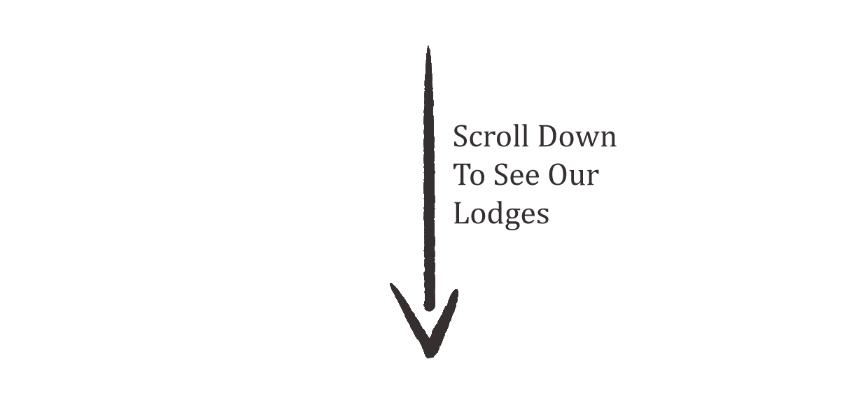Arrow pointing downward with text 'Scroll Down To See Our Lodges'