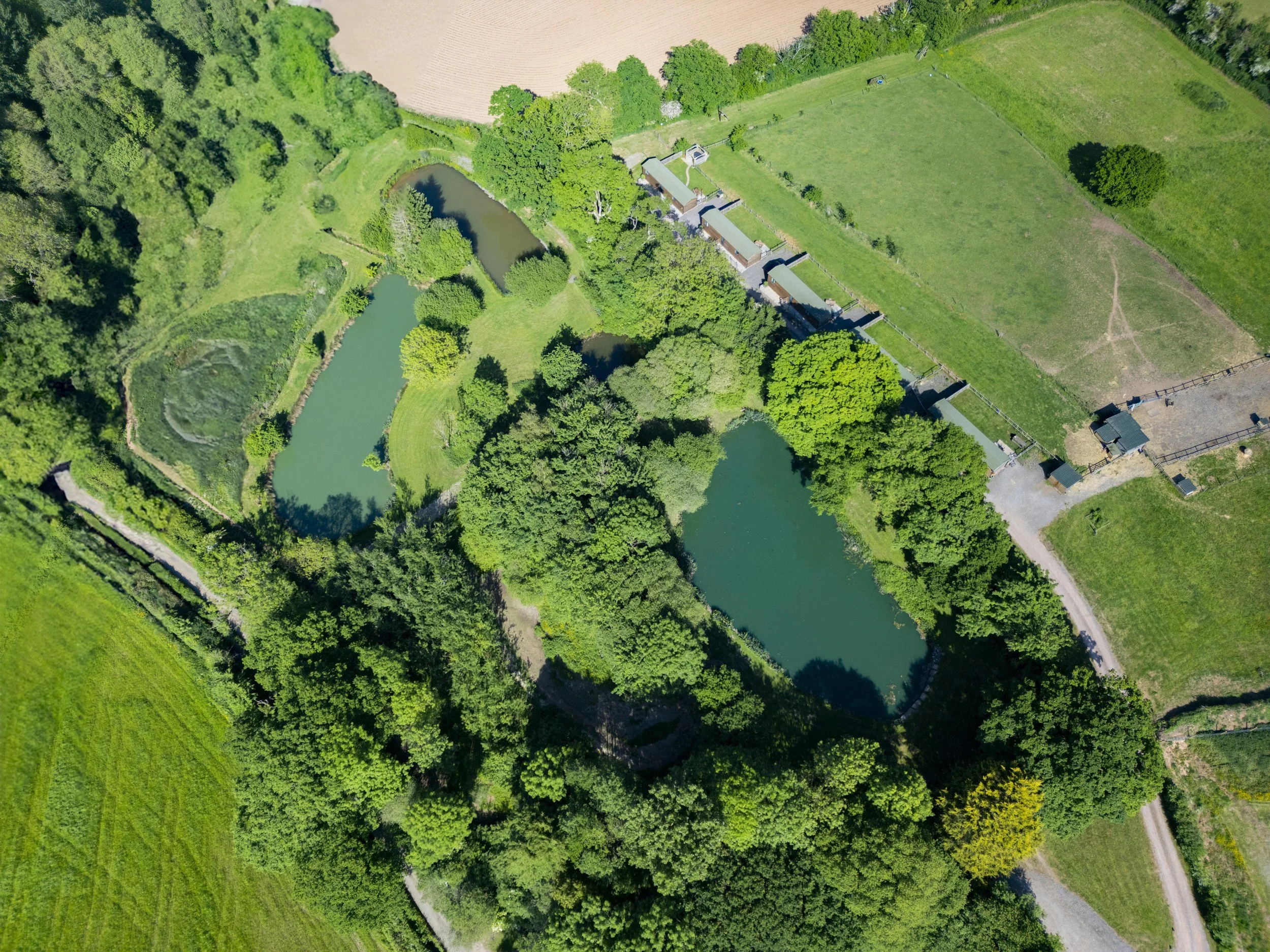 An aerial view of a park with lush green trees, a pond, and adjacent fields with some rural structures.