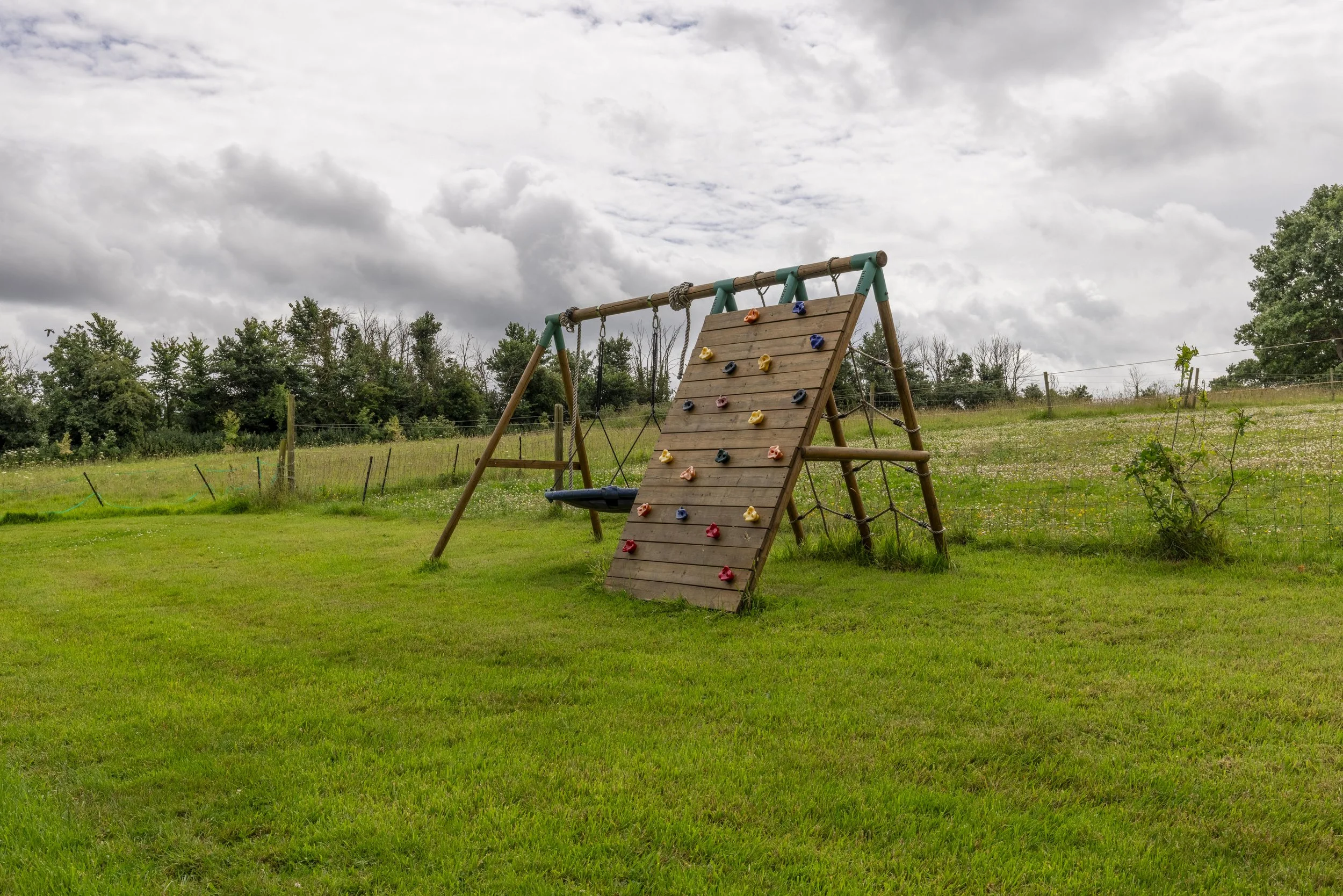 A wooden playground climbing wall with colorful handholds, set in a grassy field with trees and a cloudy sky in the background.