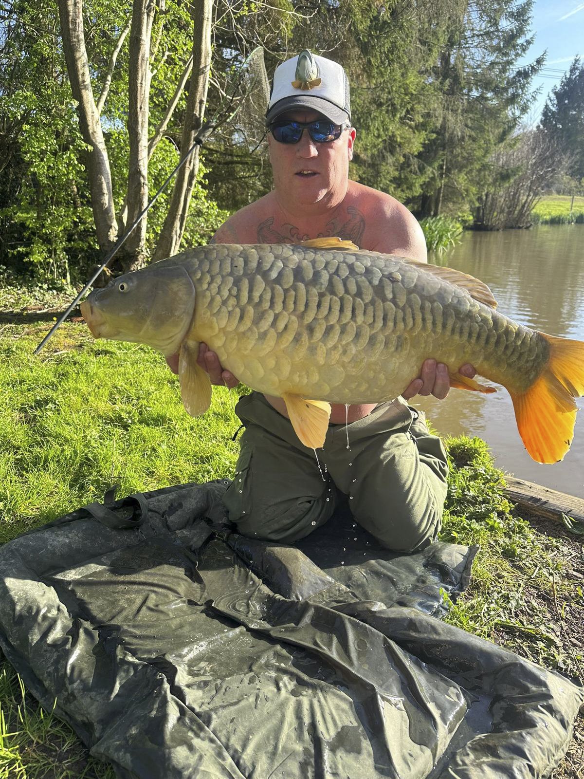 Man in sunglasses, cap with a duck on it, and no shirt, holding a large carp fish by a riverbank with trees and water in the background.