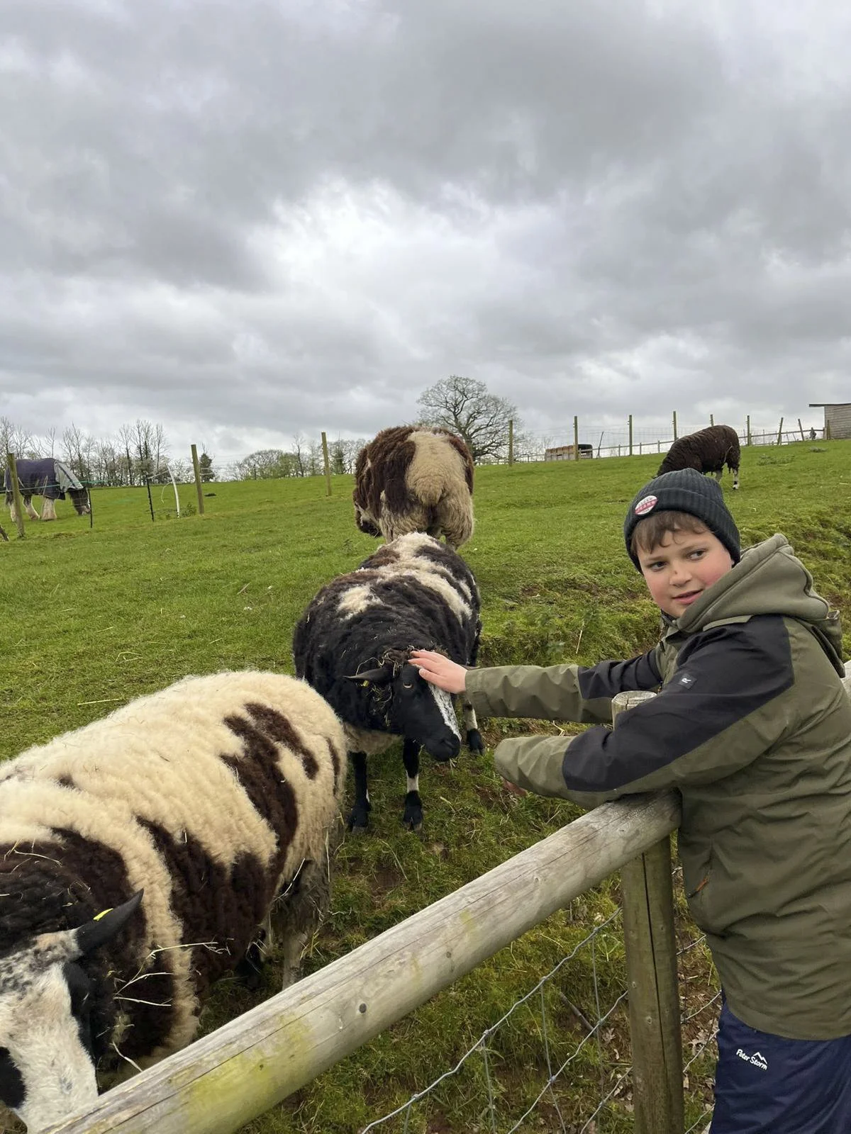A boy petting cows on a farm with cloudy skies overhead.